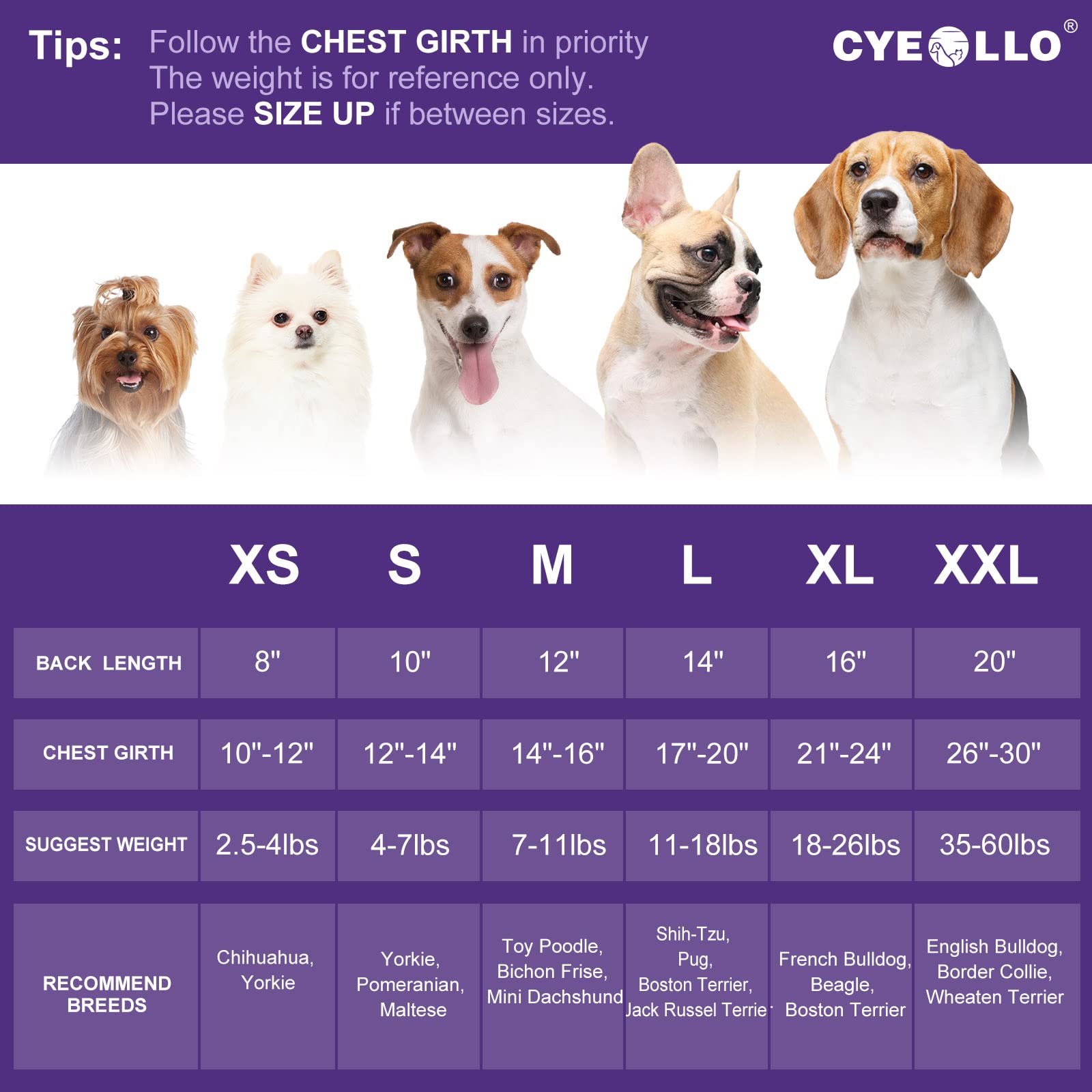 Cyeollo Valentines Day Dog Sweater Dress Dog Clothes Pullover Turtleneck With Leash Hole Heart Pattern Holiday Theme Female Pet Apparel For Small Dogs