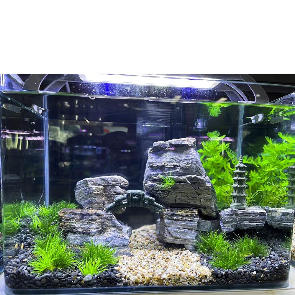 Aqua Kt Aquarium Landscape Foreground Grass Seaweed Green Plants For Marine Freshwater Fish Tank Decoration, Pack Of 10