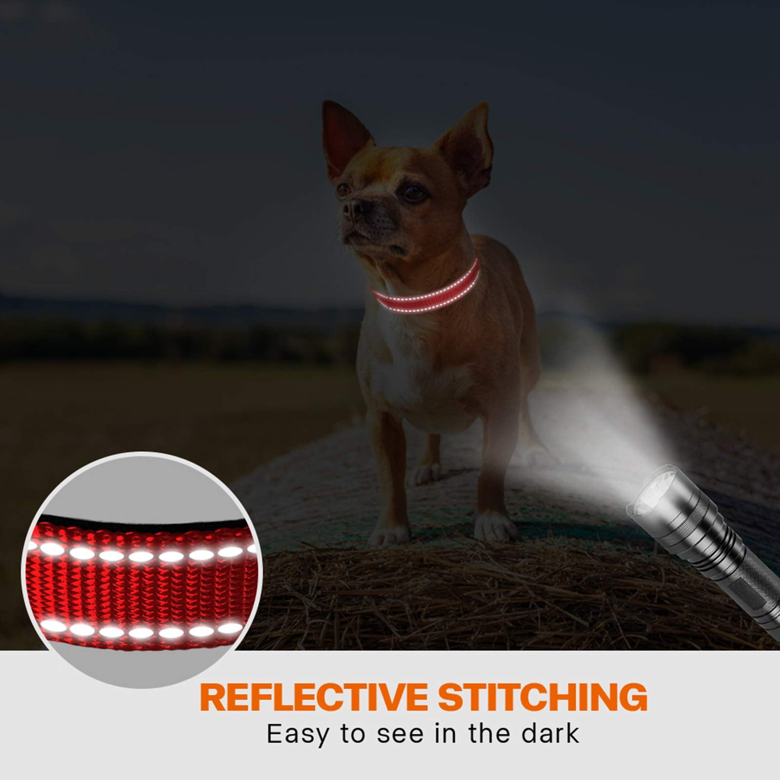 Taglory Reflective Dog Collar With Safety Locking Buckle, Adjustable Nylon Pet Collars For Puppy Dogs, Xs, Red