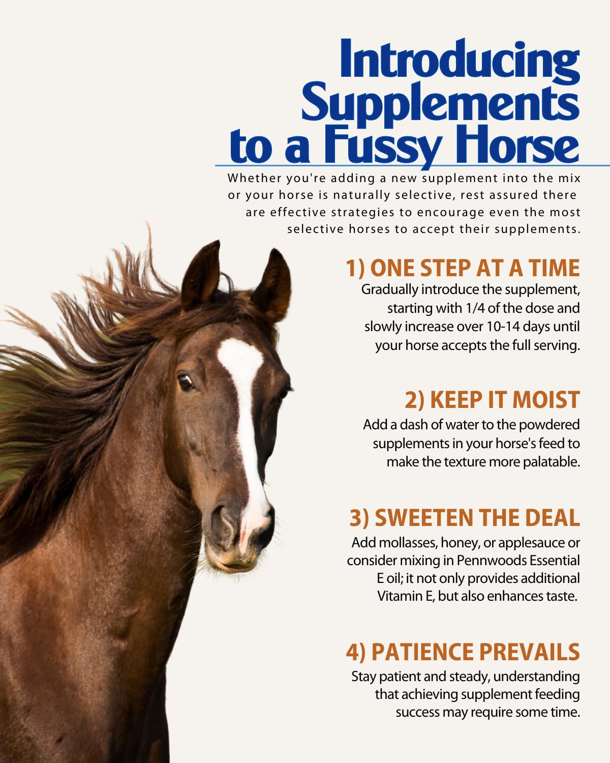 Pennwoods Essential Rescue, Hoof Supplements for Horses, Biotin & Whey Protein Formula, Weight Gain Horses, Horse Strength Suppl