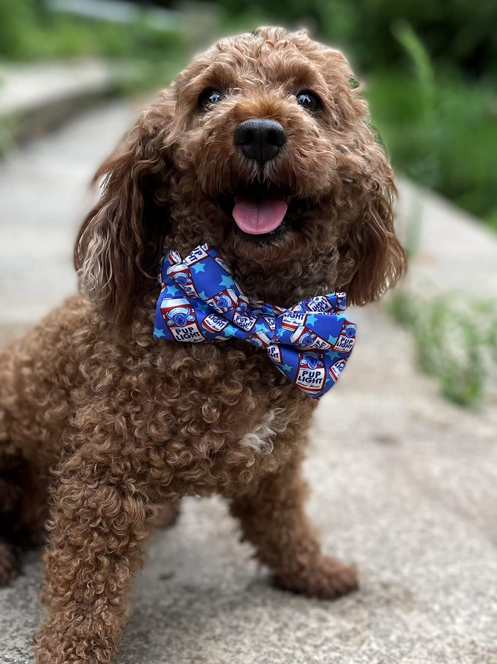Cheers Pub Beer Dog Bow Tie Dog Collar Accessory, Detachable Bowtie, Adjustable Collar For Small Medium Large Dogs