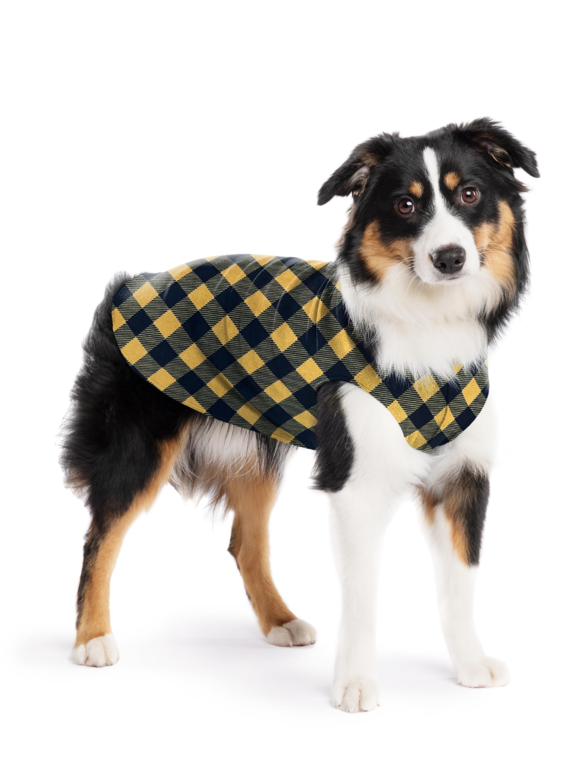 Gold Paw Stretch Fleece Dog Coat, Stretchy Pet Sweater, Machine Washable Pullover For Winter And Fall, Gold Buffalo Check, 14