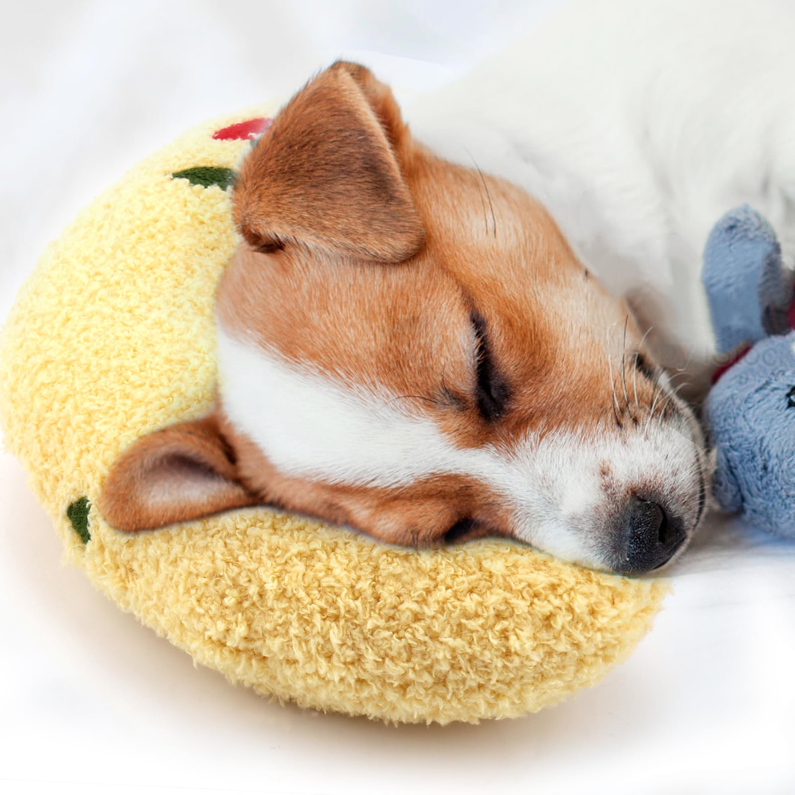 Mity Rain Dog Pillow, Anxiety Relief Pillow For Dog, Ultra Soft High Density Calming Pillow For Joint Relief Sleeping Improve, P