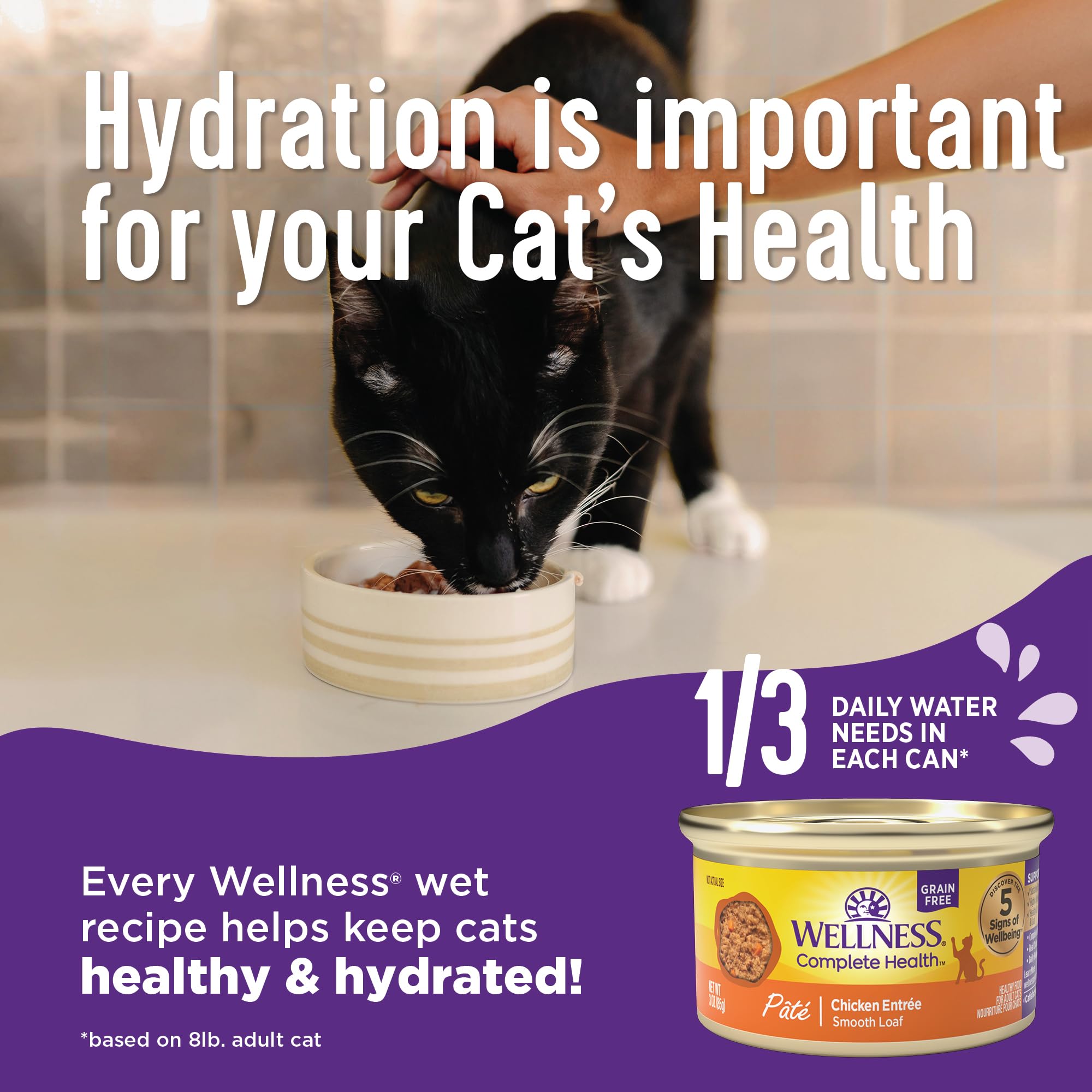 Wellness Complete Health Grain-Free Wet Canned Cat Food, Natural Ingredients, Made with Real Meat, All Breeds, Smooth Pate (Turk