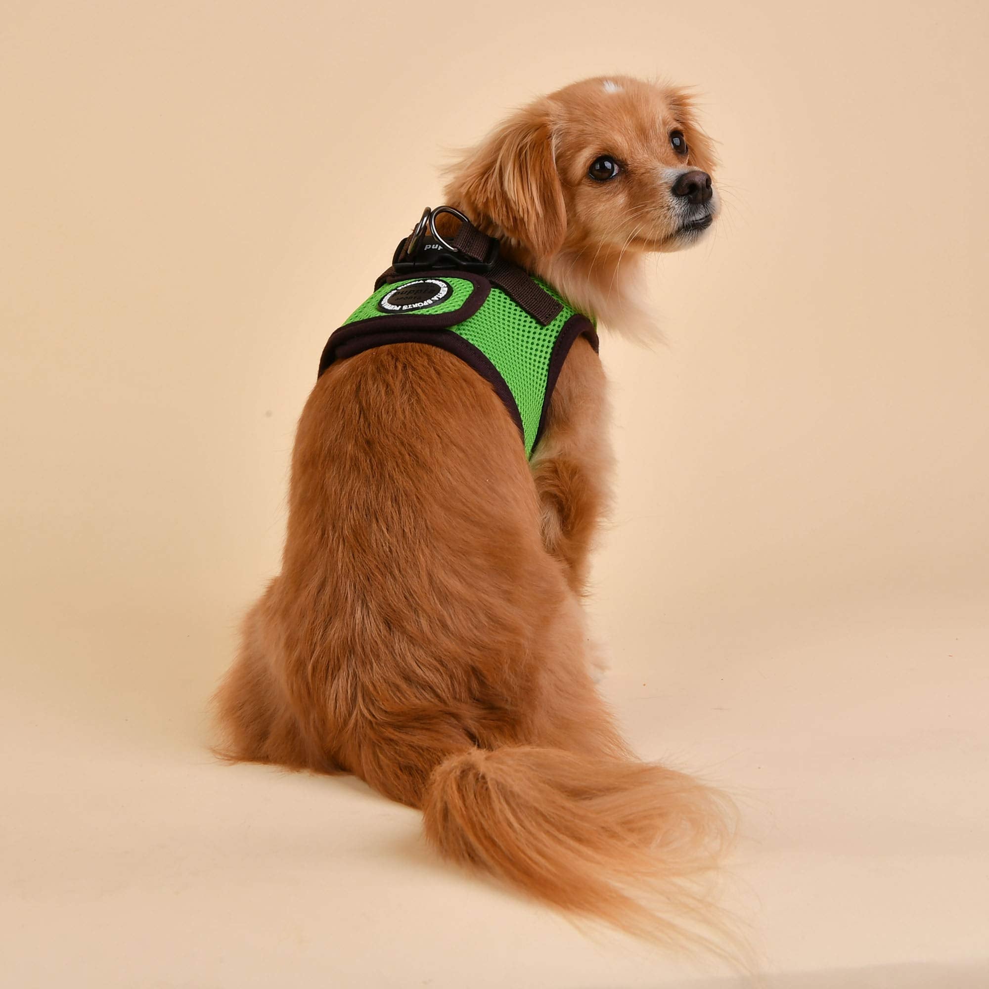 Puppia Soft Vest Harness B Ii - Green - Xxl