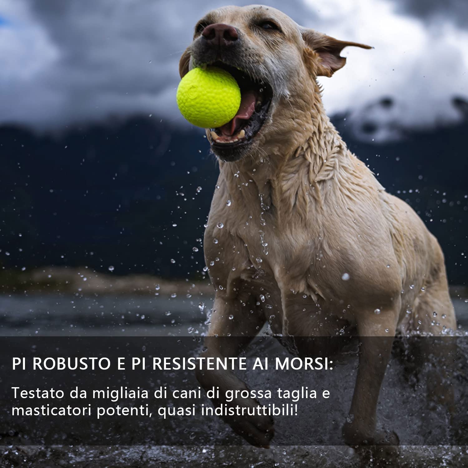 Dog Balls, Rubber Chew Ball Toy, Non-Toxic, Bite Resistant Interactive Training Toy Ball IQ Puzzle for Small Medium Dogs