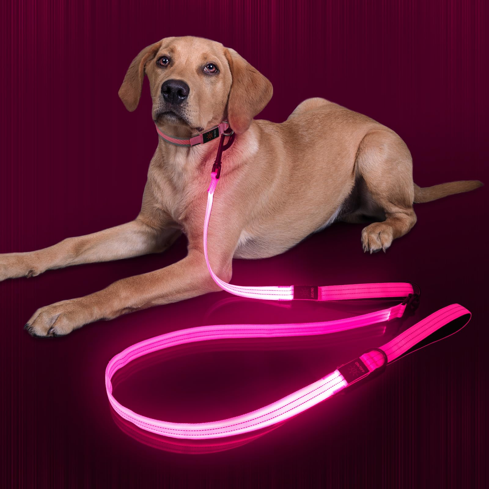 Itk Light Up Dog Leash, Led Leashes Rechargeable, Nylon Reflective Lead With Padded Handle For Night Walking, Safety Glow Lights