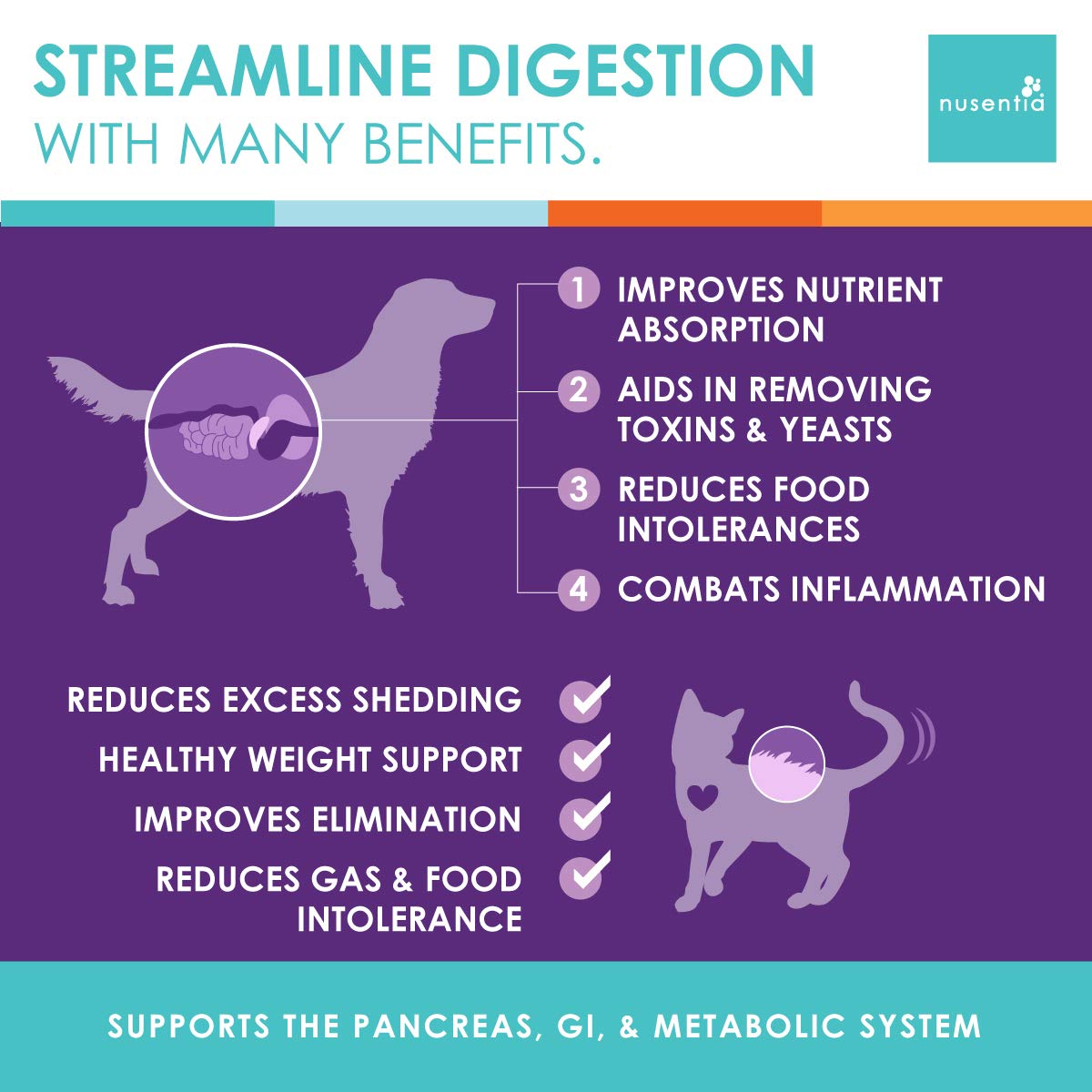 Enzymes for Cats & Dogs : Enzyme Miracle (100 Servings) : for Digestive Stress, Pancreatic Concerns, and Healthy Weight Manageme