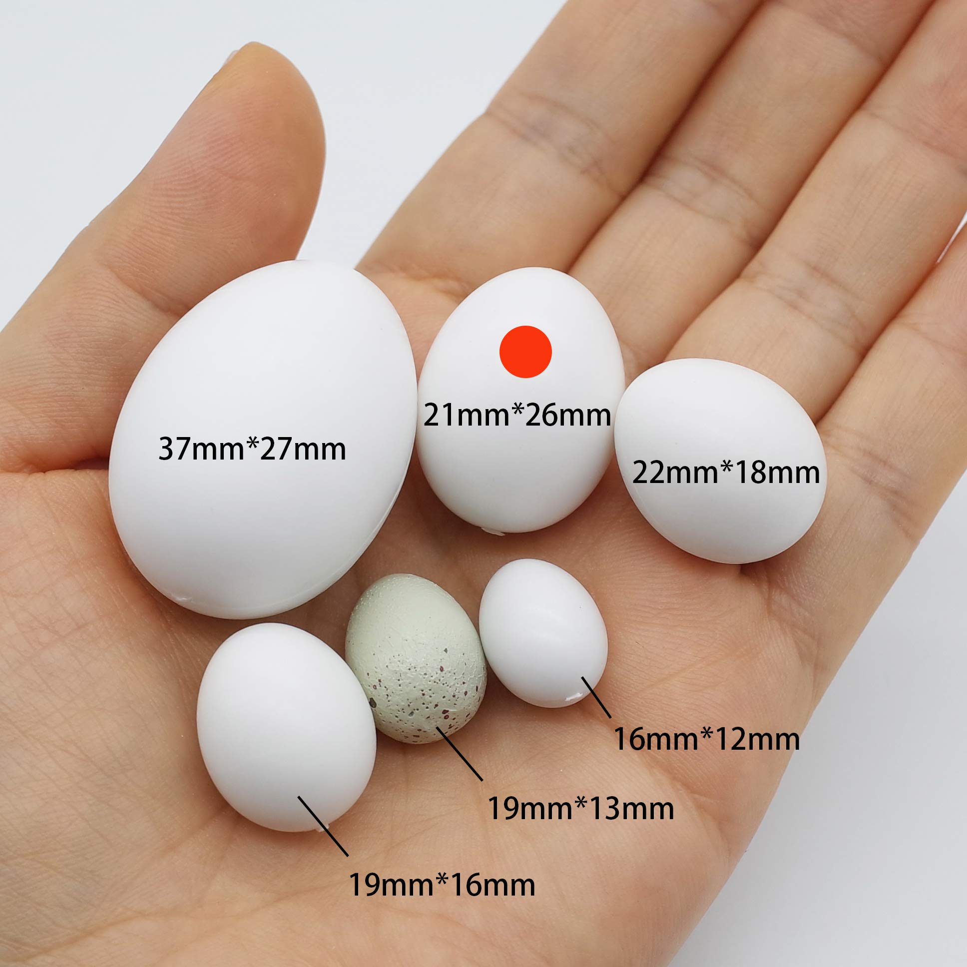 Foiburely 12 Pcs Solid Parrot Plastic Eggs Hatching Eggs Green Cheek, Lorikeet&Ringneck Dove, Quaker, Cockatiel. Trick The Birds To Stop Laying Eggs, Fake Eggs