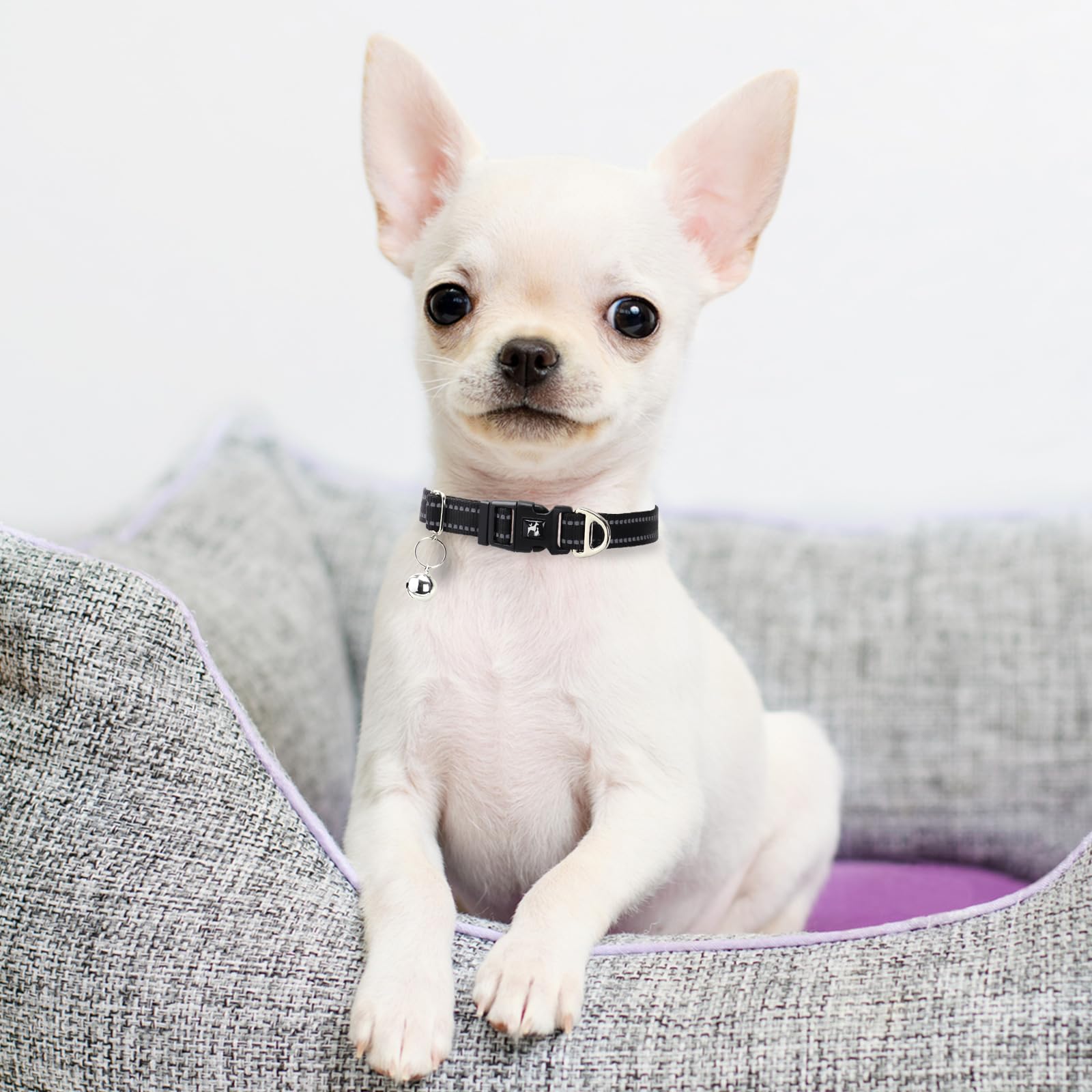 Onefojojo Small Dog Collar With Bell Reflective - Adjustable Puppy Collar For Nighttime Walks, Cute Basic Nylon Collar For Chihu