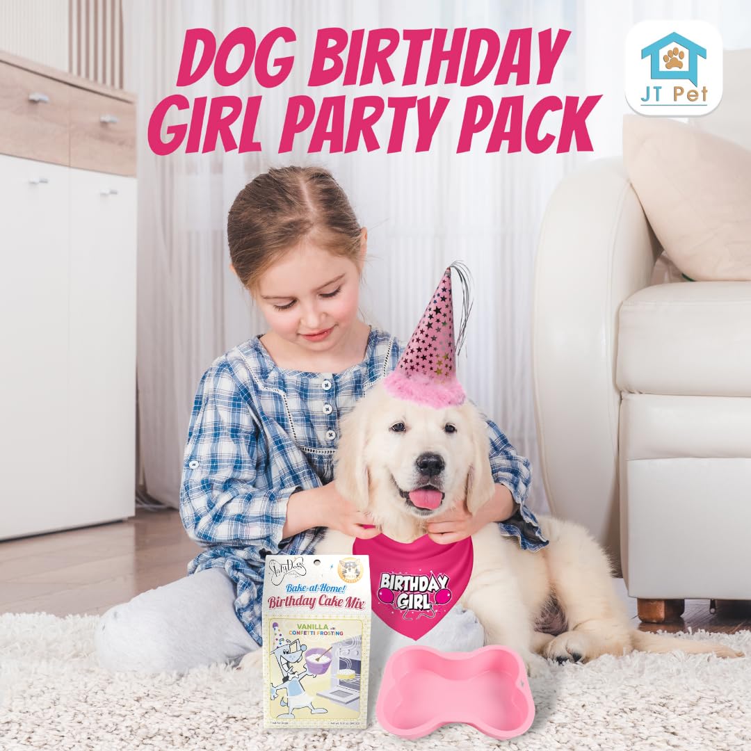 Jt Pet Dog Birthday Girl Party Pack With Bandana, Star Spangled Party Hat With Adjustable Elastic, Tassels And Feathery Trim, Bi
