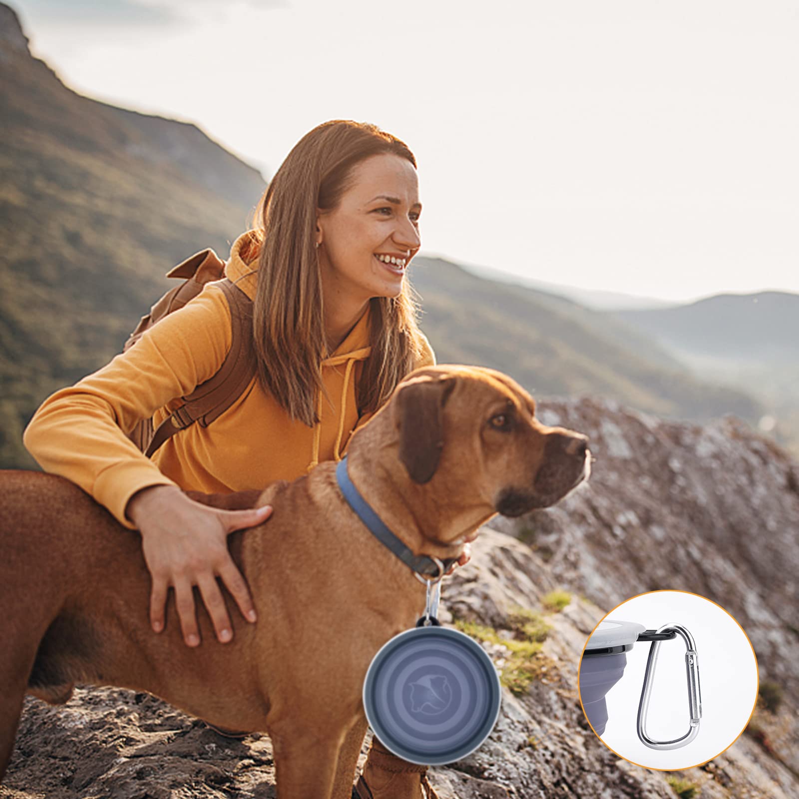 Slson Dog Bowls Pet Collapsible Bowl With Cover Lids,2 Pack Dog Travel Bowls Portable Foldable Cat Water Dish Bowl For Pets Walking Parking Camping (Taro Purple And Concrete Gray, Large)