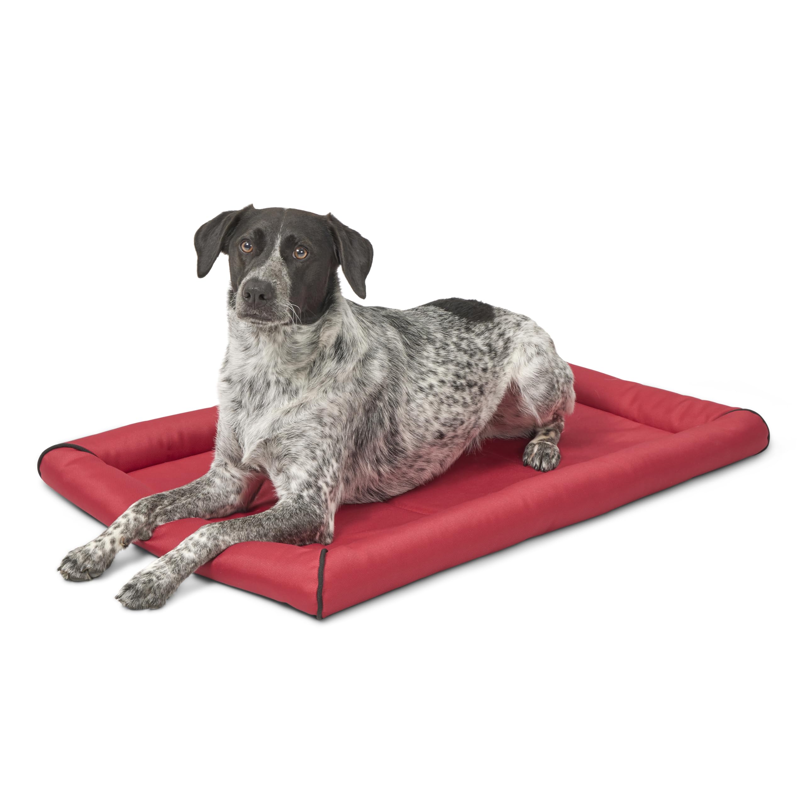 Midwest Homes For Pets Water Repellant Easy Wipe Clean Ultra-Rugged Maxx Dog Beds, Super Durable Dog Bed Designed To Fit 36-Inch