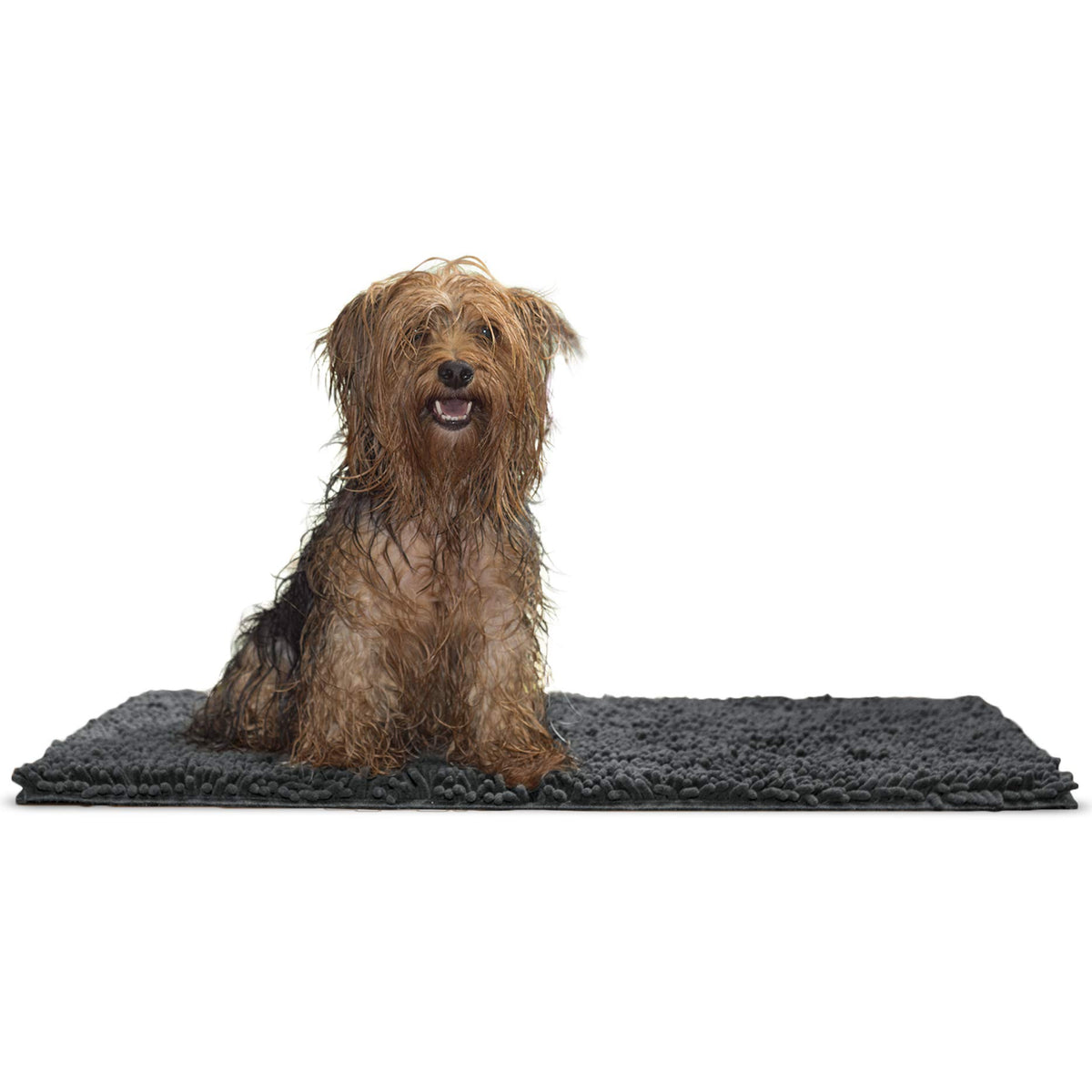 Furhaven Medium Pet Door Mat Muddy Paws Absorbent Chenille Shammy Rug, Washable - Charcoal (Gray), Medium