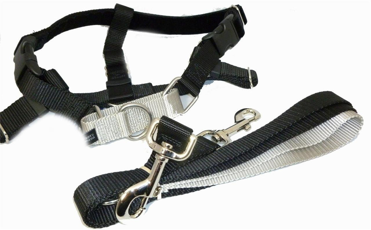 2 Hounds Design Freedom No Pull Velvet Lined Dog Harness And Leash Training Package Black Xl