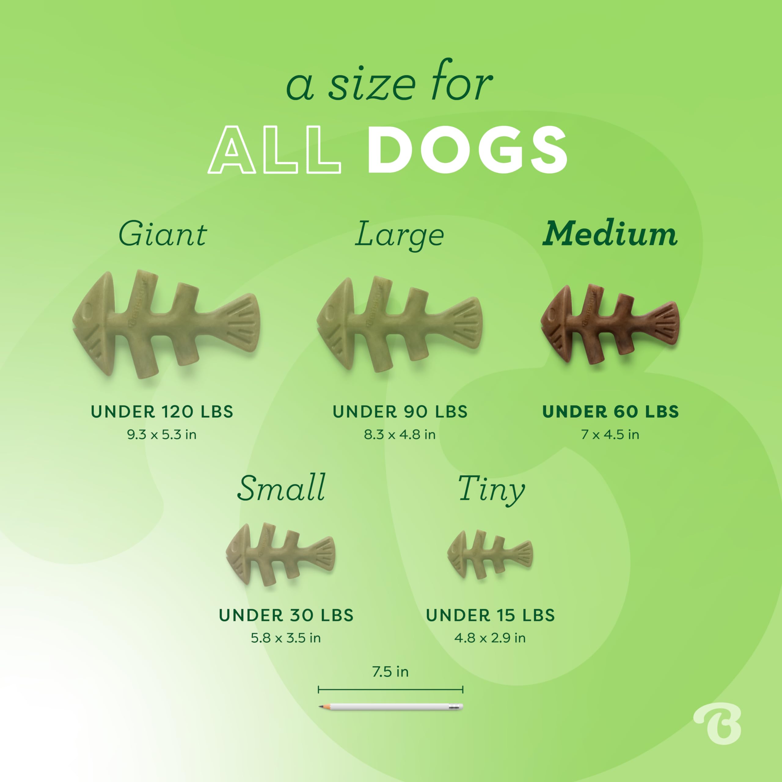 Benebone Fishbone Durable Dog Chew Toy For Aggressive Chewers, Real Fish, Made In Usa, Medium