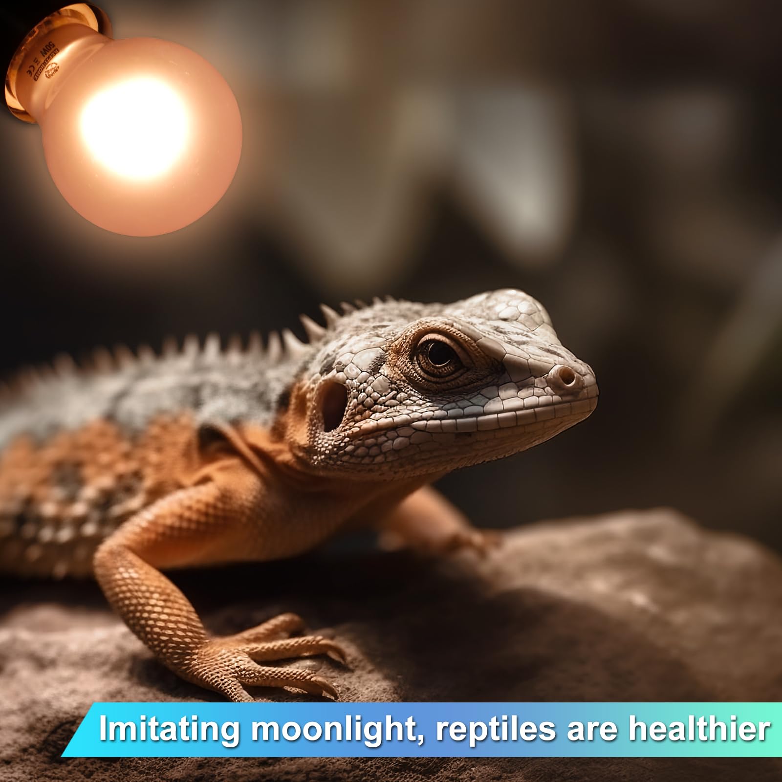 REPTI HOME Reptile Heat Lamp 2 Pack 50W, Daylight Heat Bulb for Reptiles & Amphibians, Reptile Heat Light for Bearded Dragon, Li