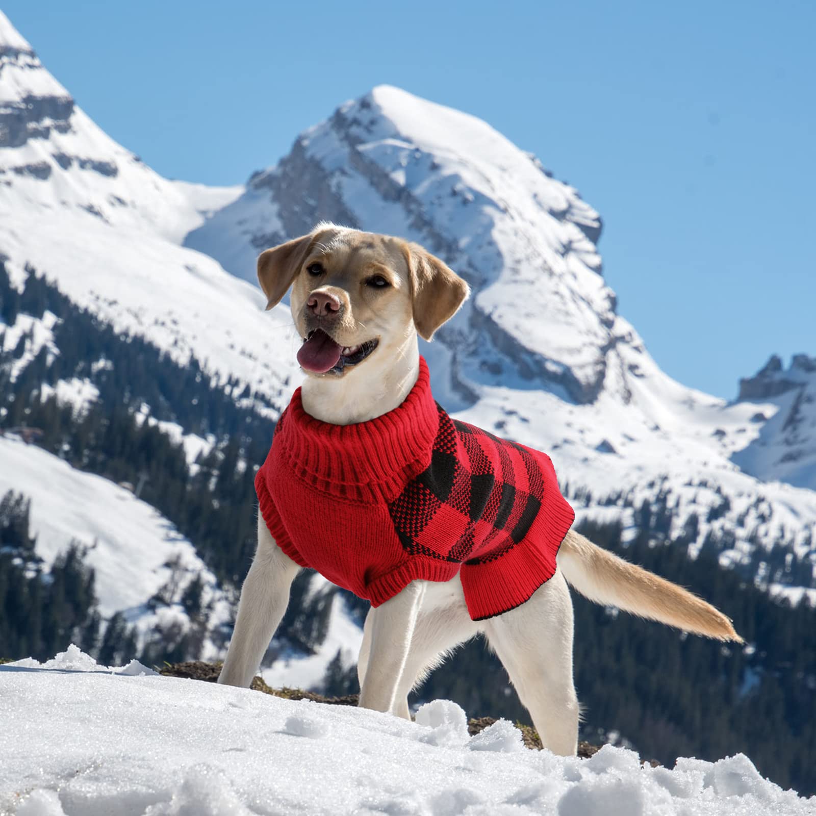 Qbleev Medium Dog Sweaters For Girls & Puppies - Plaid & Turtleneck Designs, Warm Winter & Fall Dog Sweaters For Dogs & Females