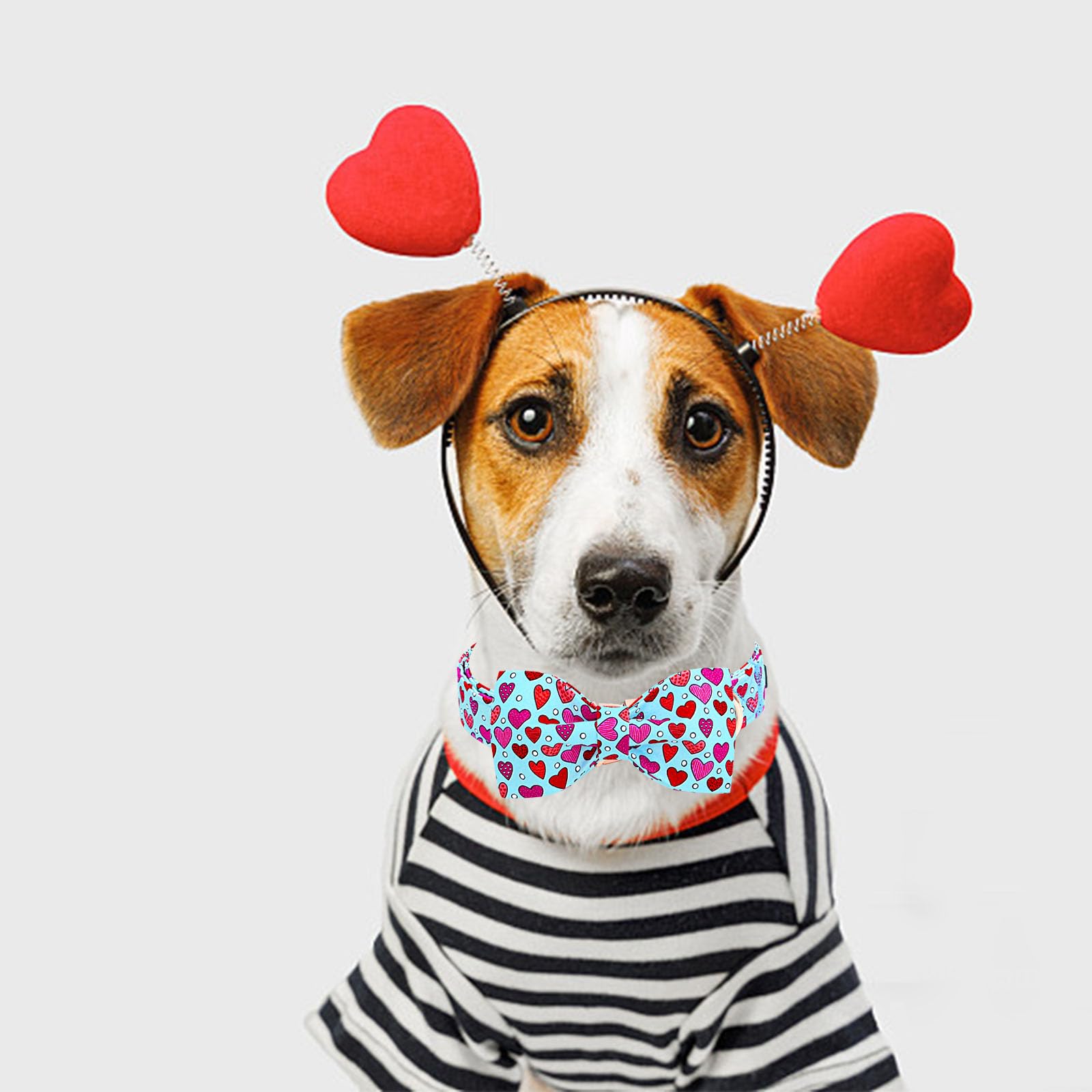 Lionheart Glory Valentine'S Day Dog Collar - X-Large Red Hearts Print With Bowtie