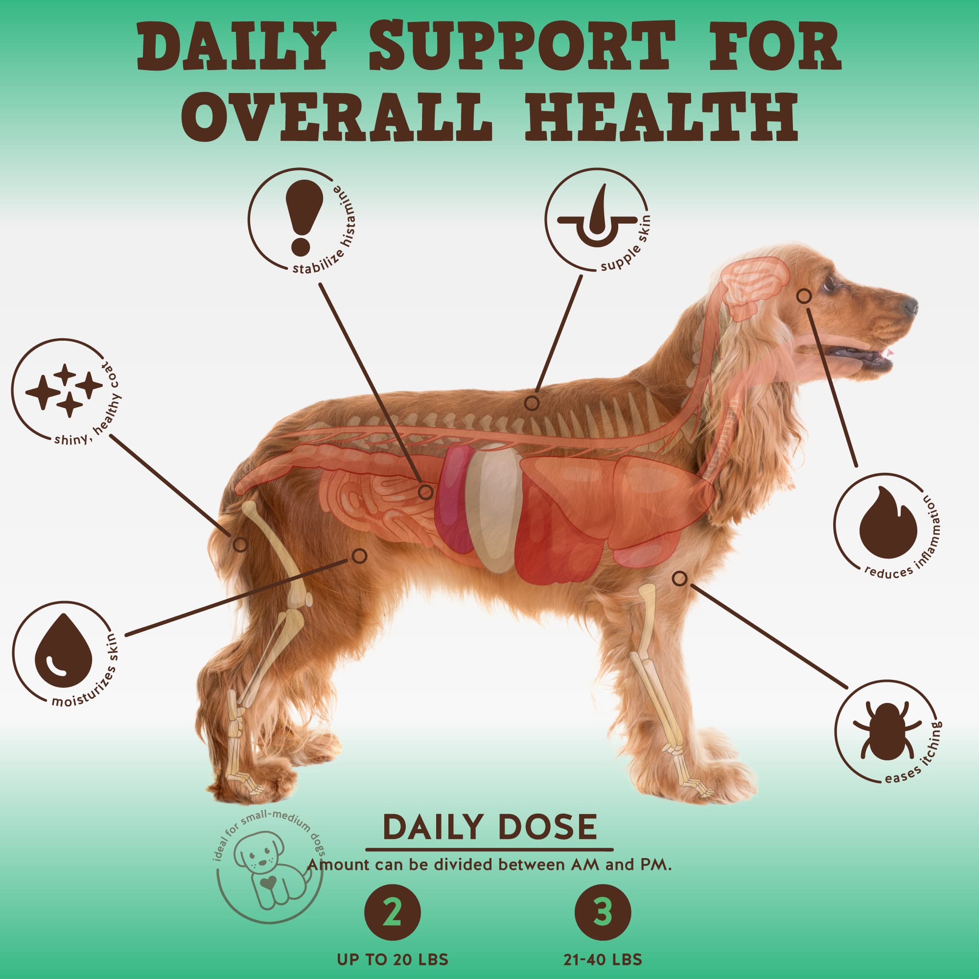 Jack&Pup Dog Allergy Chews - Bark Buddies Aller-Care Soft Chew Bites Itch Relief for Dogs & Allergy Support for Dogs - Dog Immun