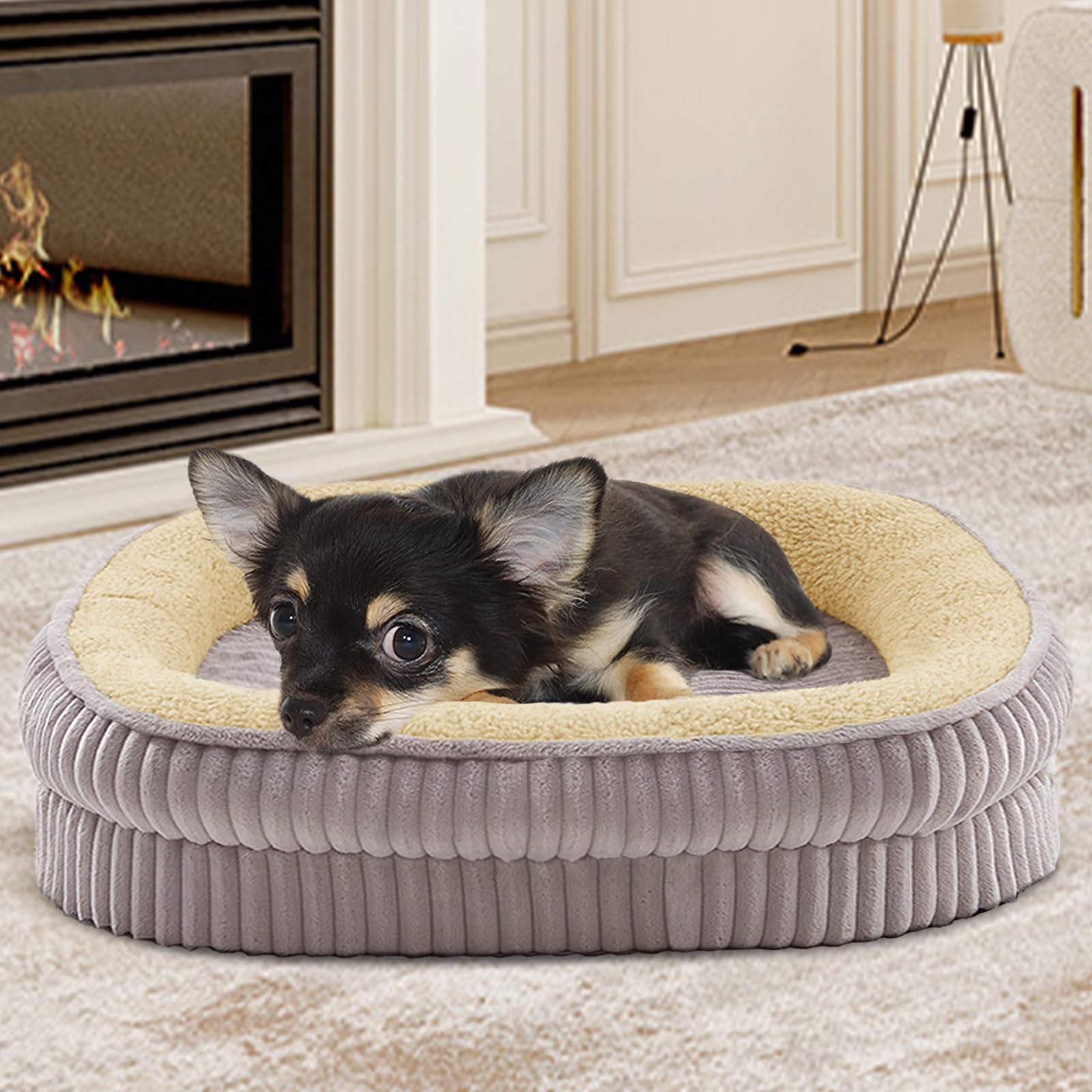 Debang Home Orthopedic Dog Bed For Puppy,Extra Small Dogs Breeds,Oval Cat Bed,High Density Egg Crate Foam Dog Sofa Beds,Pet Couc