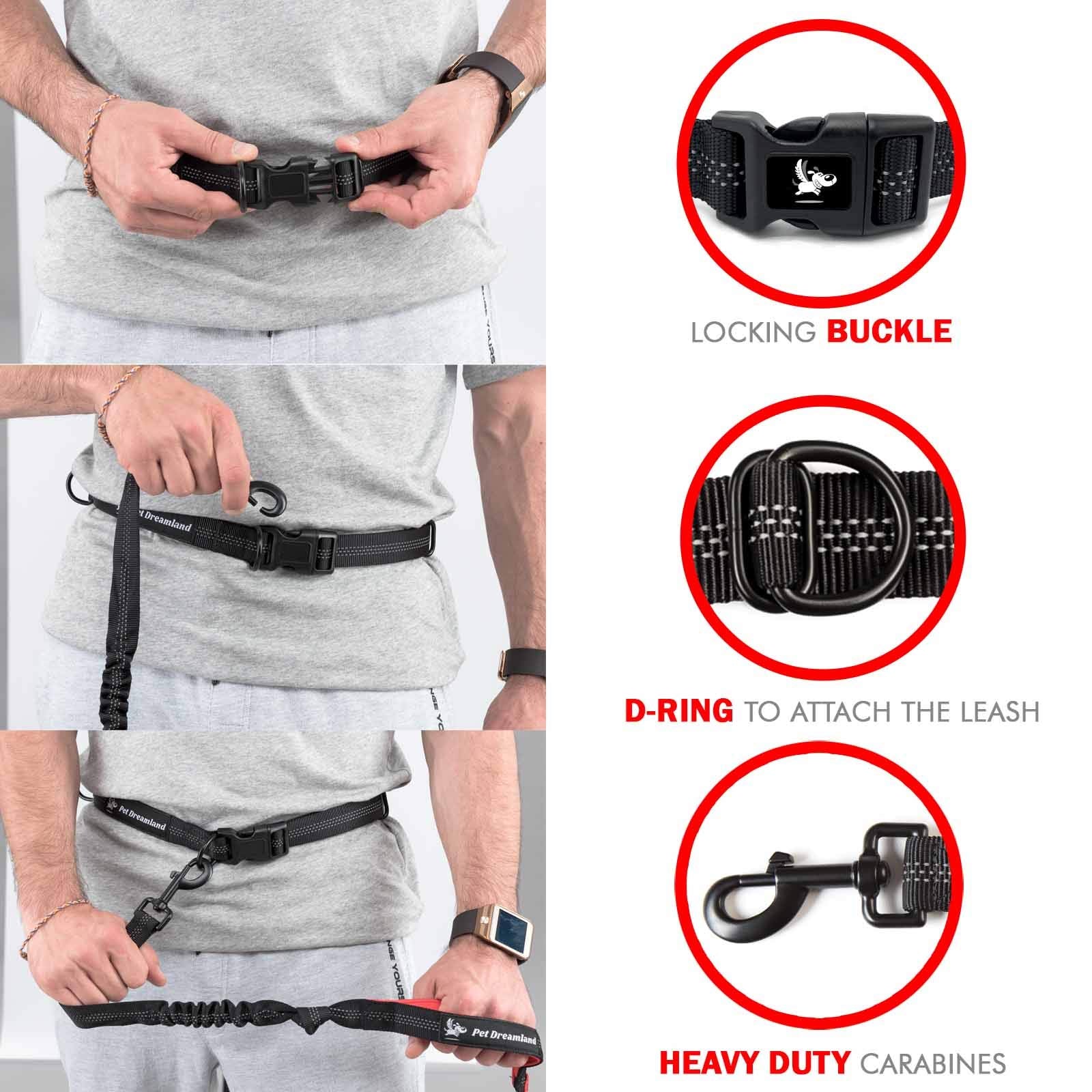 Retractable Hands Free Dog Leash For Running | Waist Leash For Dog Walking Small Breeds | Running Leash | Hiking Leash For Medium Dogs | Service Dog Leash Belt | Bungee Dog Leash | Hands Free Leash