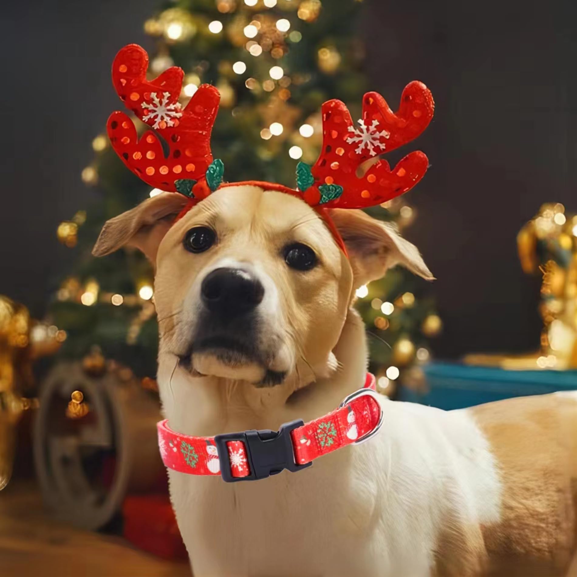 Christmas Dog Collar With Buckle Adjustable Safety Nylon Collars For Small Medium Large Dogs, Cute Stylish Girl Boy Christmas Dog Collar (Christmas Red,S)