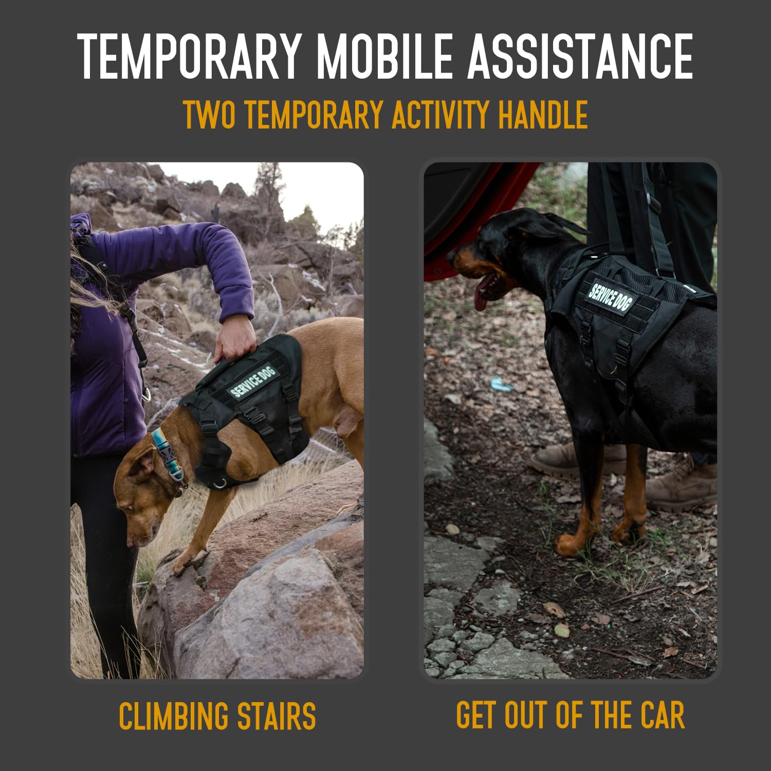 Dnallrino Dog Lift Harness For Large Dogs, Military Mesh Breathable Lift Harness With Molle Vest With 39G Metal Buckle For Train