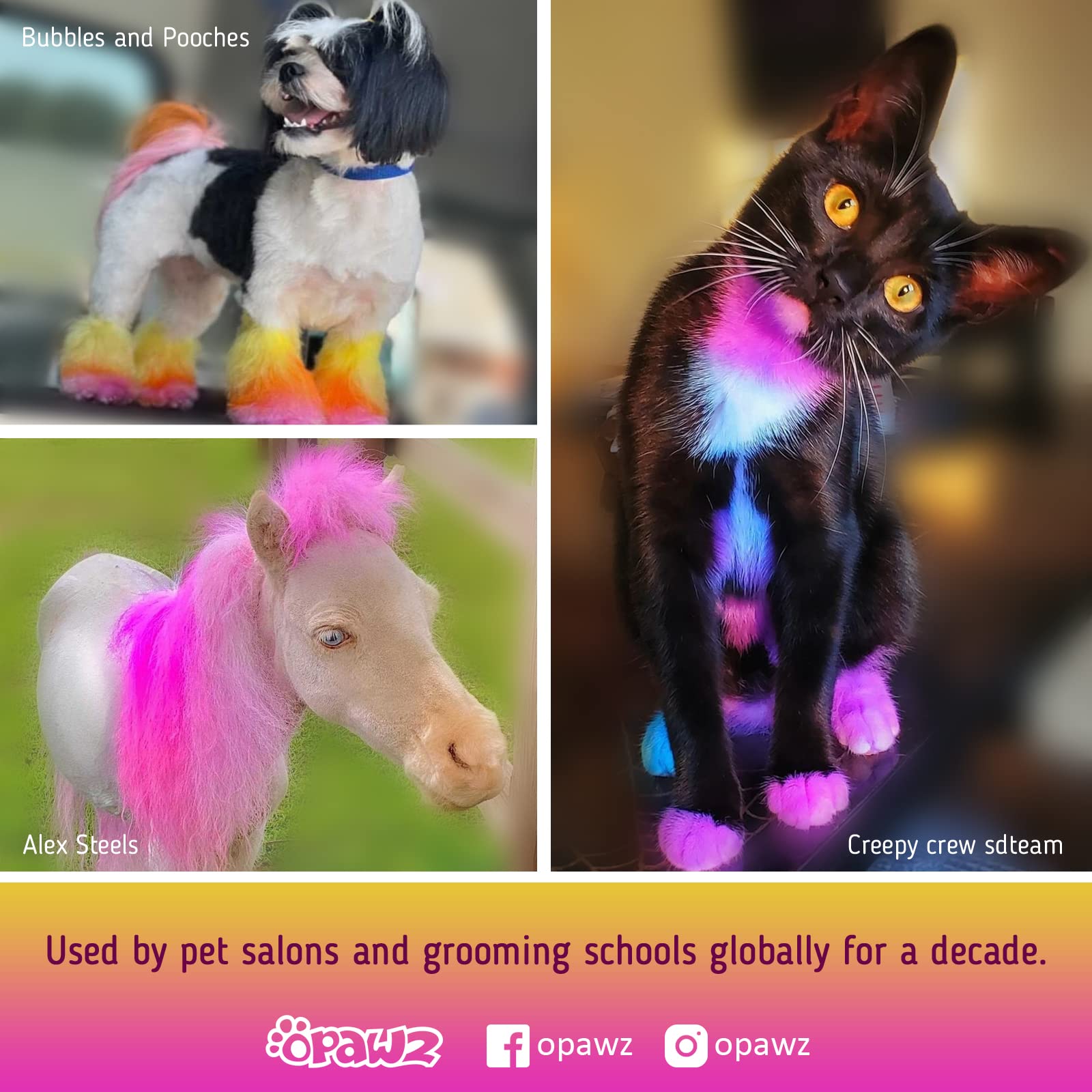 OPAWZ Semi-Permanent Dog Hair Dye, Food-Grade Pigment Dog Dye, Non-Toxic Pet Hair Dye for Dogs, Cats and All Pets Can be Bathed