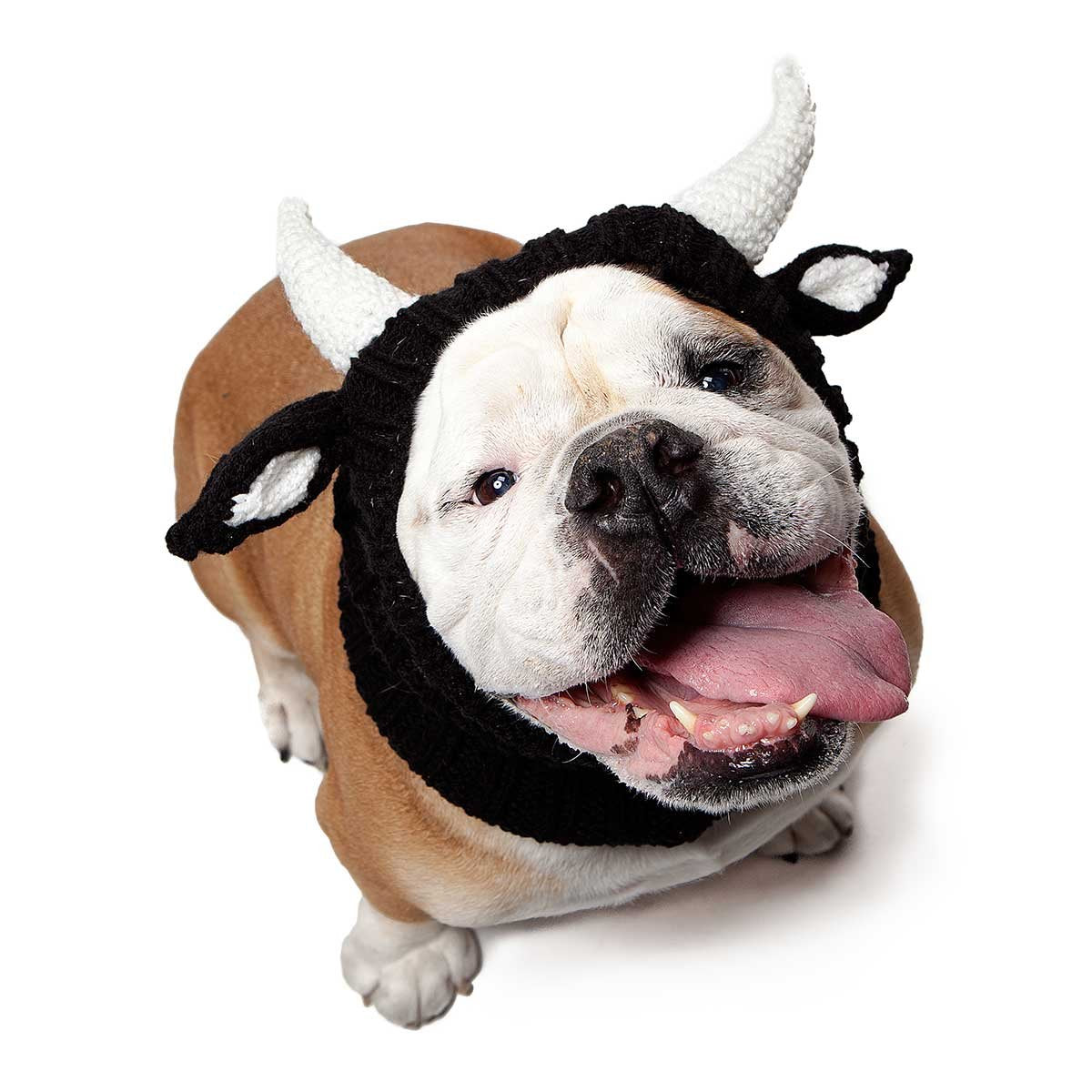 Zoo Snoods Bull Costume - Warm Knit Cow Dog Snood Wrap For Pets, Neck Ear Cover Protection For Halloween Winter (Large)