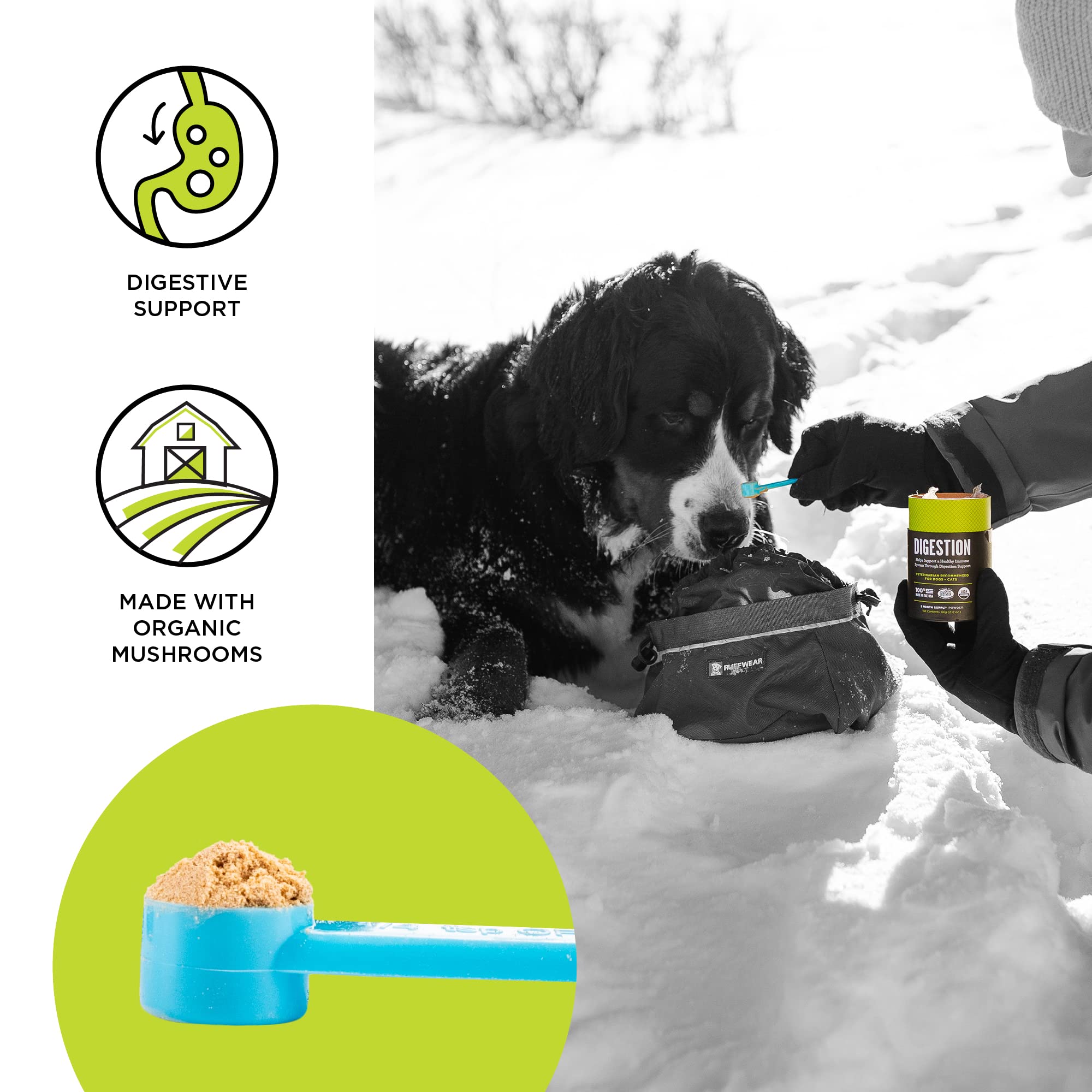 BIXBI Dog & Cat Clean Digestion Support, 2.12 oz (60 g) - All Natural Organic Pet Superfood - Daily Mushroom Powder Supplement -