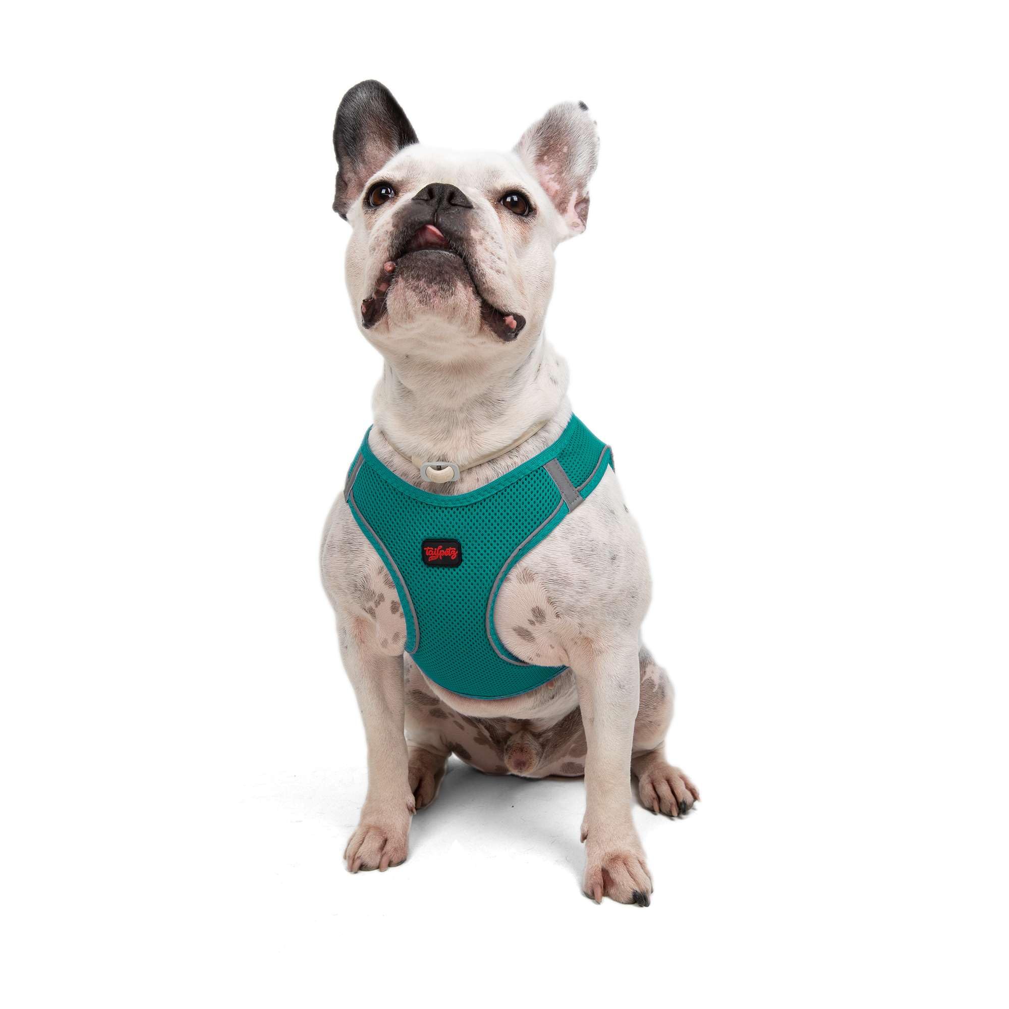 Tailpetz Dark Green Dog Harness, Adjustable Step in No Pull Dog Harness for Large Dog, Reflective Puppy Harness for Puppy Traini