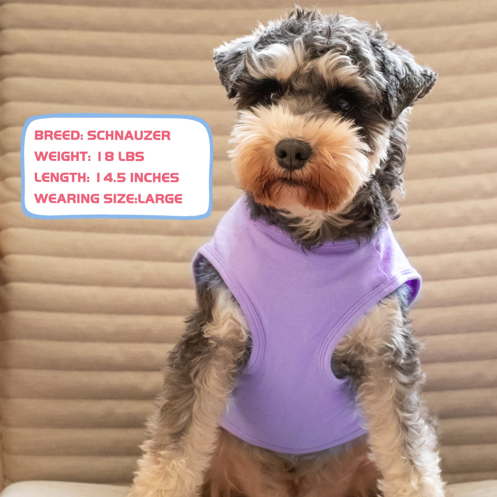 Kyeese 2 Pack Small Dog Shirts Striped Dog T-Shirts Soft Cotton Tank Top Sleeveless Vest Dog Tee Shirt Dog Apparel