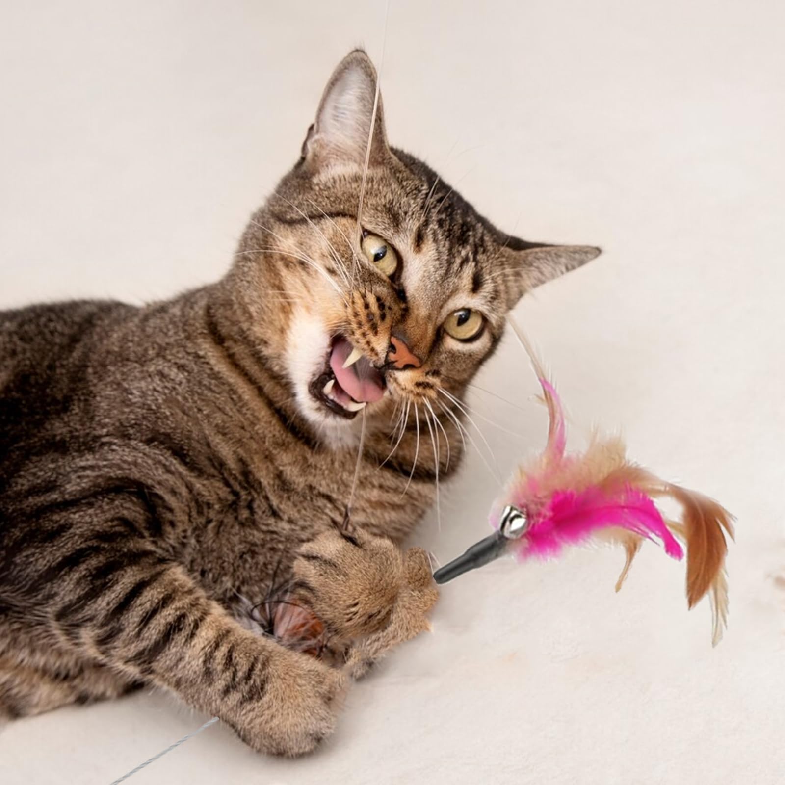 Subang 9 Pieces Cat Feather Toys Replacement Cat Toy With Collar Wand Refills Cats Toy Replacement Natural Bird Feathers For Cat