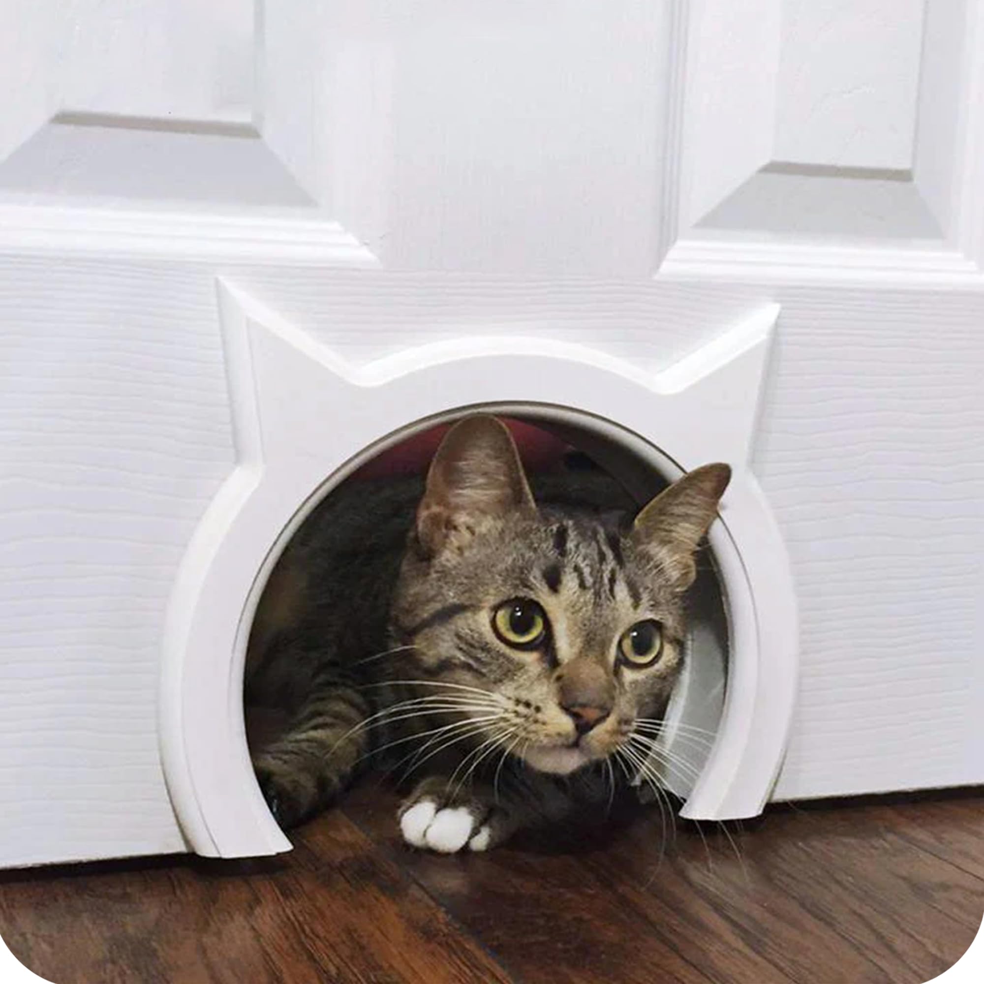 The Kitty Pass Interior Cat Door - Let Your Cat In And Out Of Closed Doors, Secure Pet Proof Gate Latch - For Cats Up To 21 Lbs