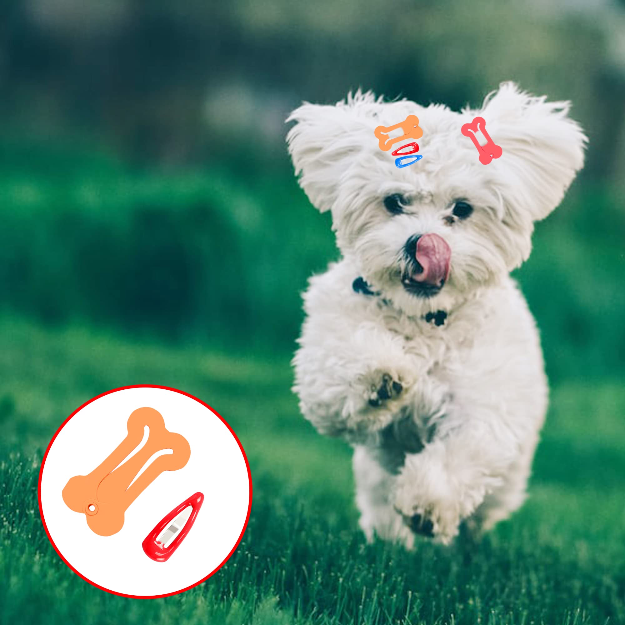 Yaodhaod 20 Pieces Dog Hair Clips Pet Hair Barrettes Dog Hair Accessories Clip Cute Multicolor Small Bone Small Waterdrop Snap Hairpin Headwear Pet Grooming Products For Dog Cat Puppy Pet