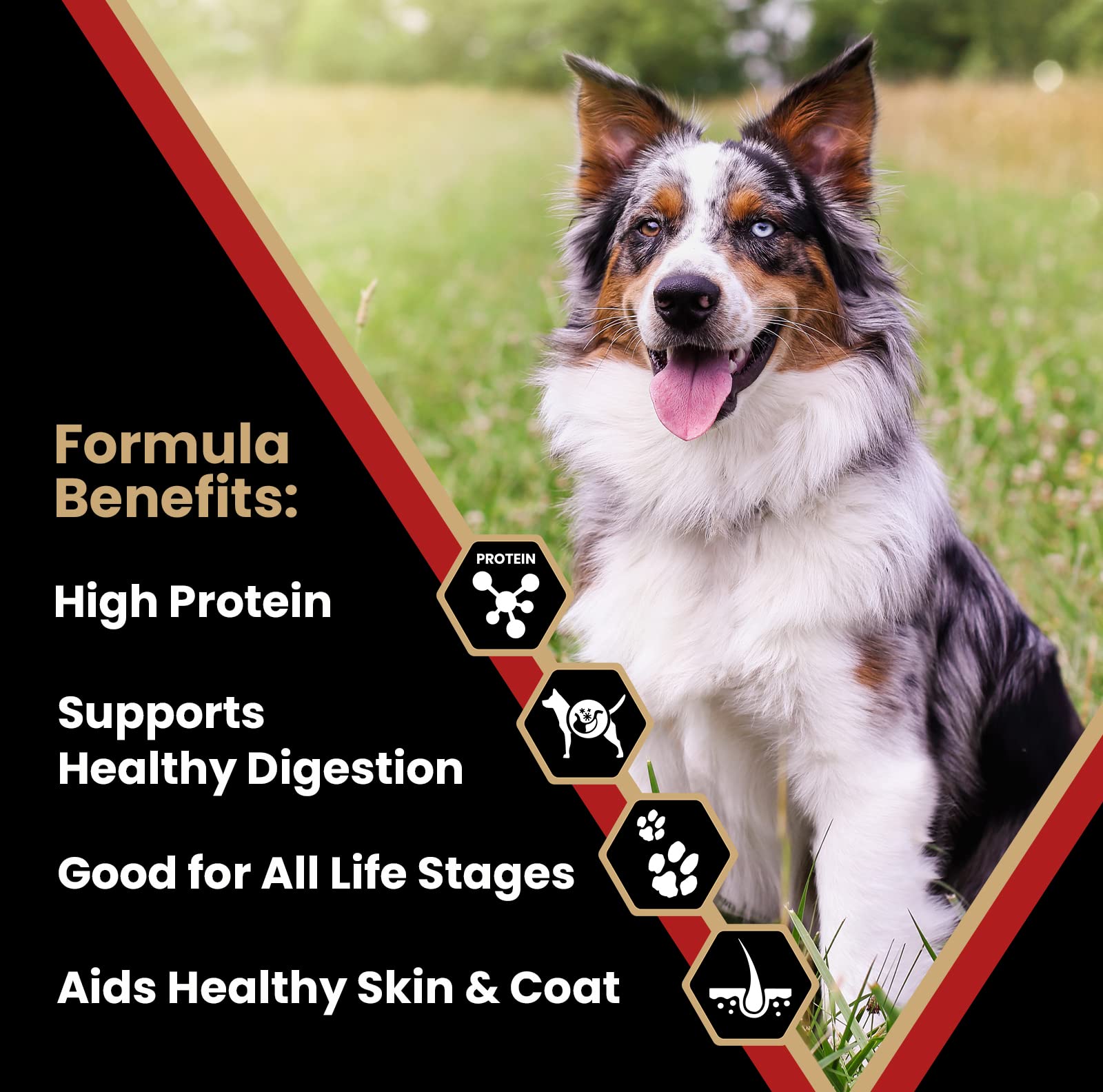 Victor Super Premium Dog Food - Purpose - Nutra Pro - Gluten Free, High Protein Low Carb Dry Dog Food for Active Dogs of All Age