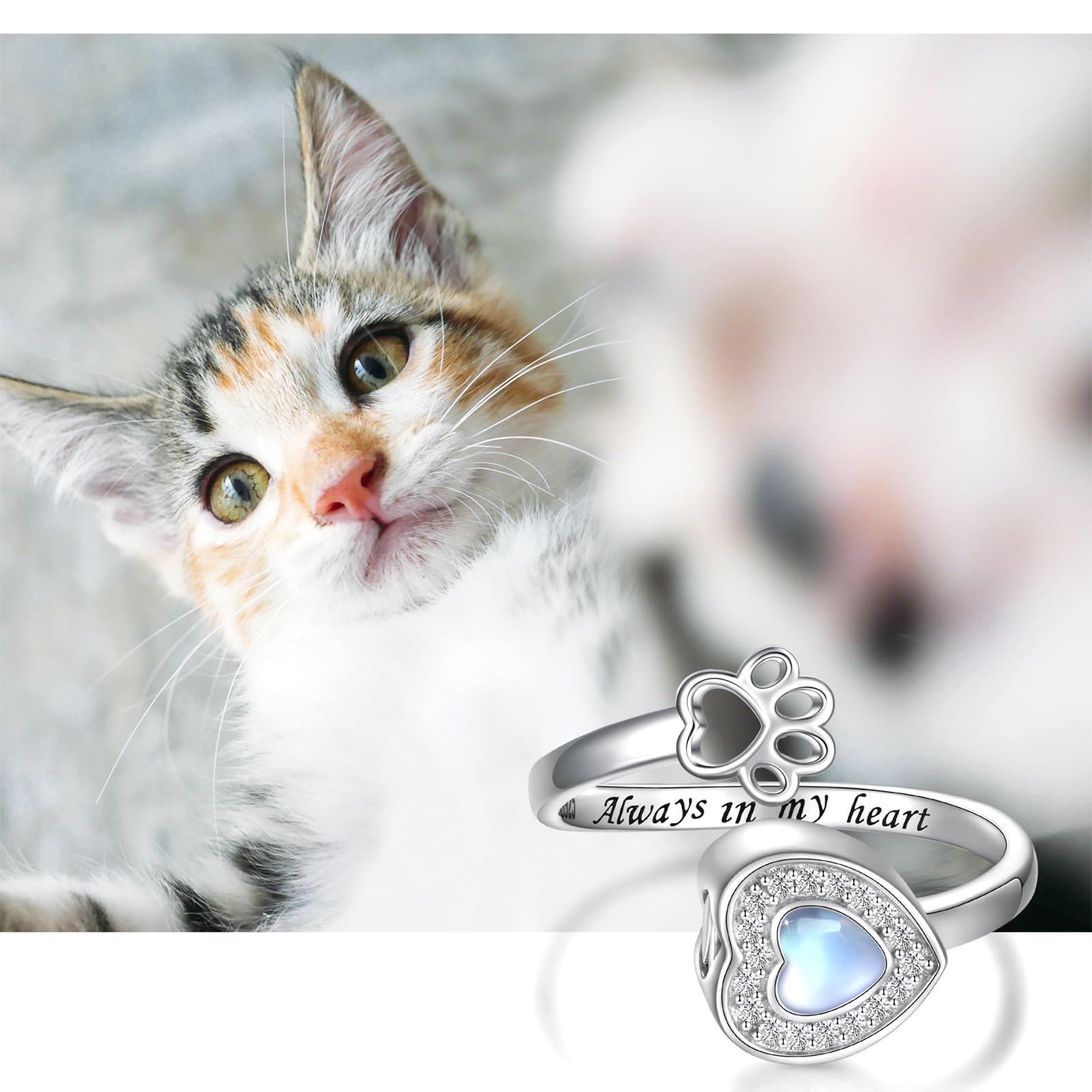 Sterling Silver Urn Ring For Dog Ashes: Paw Print Memorial Rings Cat Cremation Jewelry Keepsake Gifts For Women Pets Lover Custo