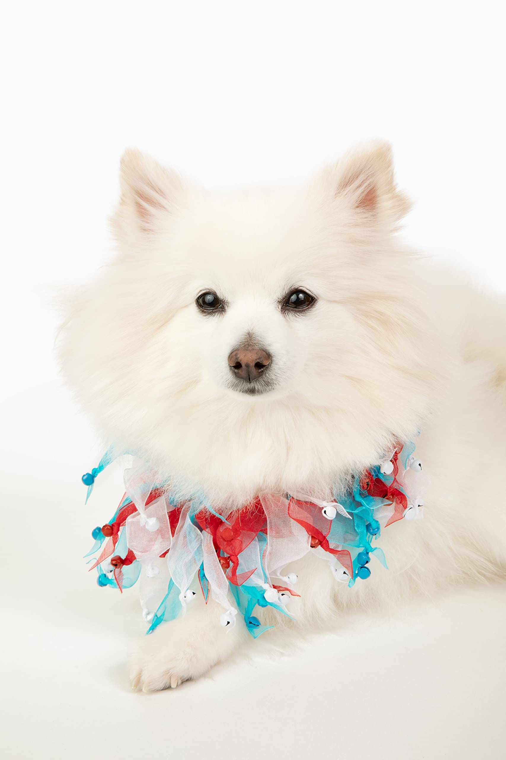 Midlee 4Th Of July Decorative Bell Collar (Medium)