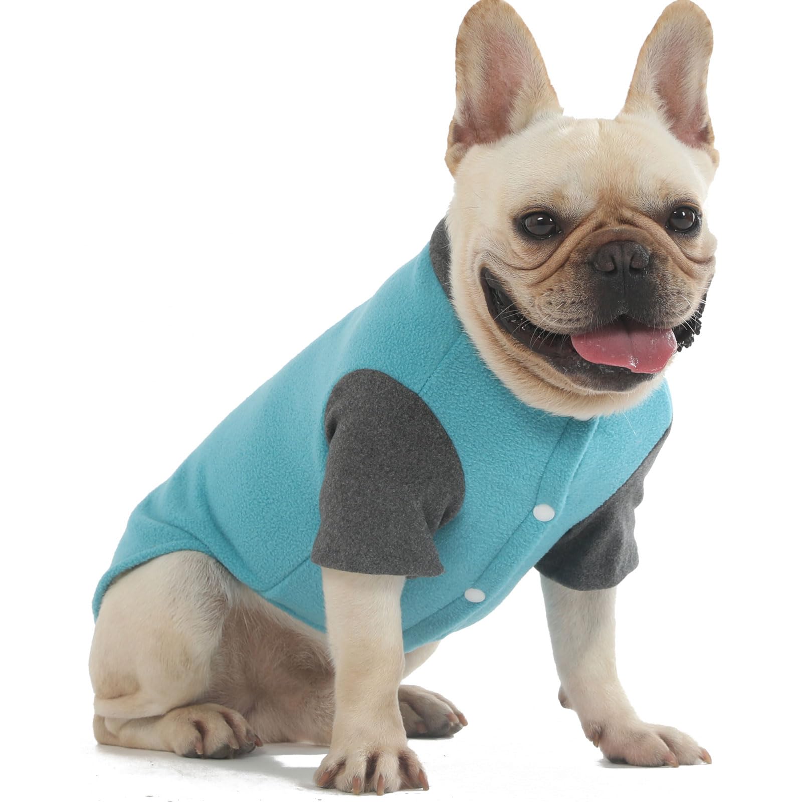 Sweater Clothes For Small Medium Dogs Boy And Girl Jacket Winter Coat With O-Ring Leash Stretchy Warm Sweatshirt Cat Puppy Appar