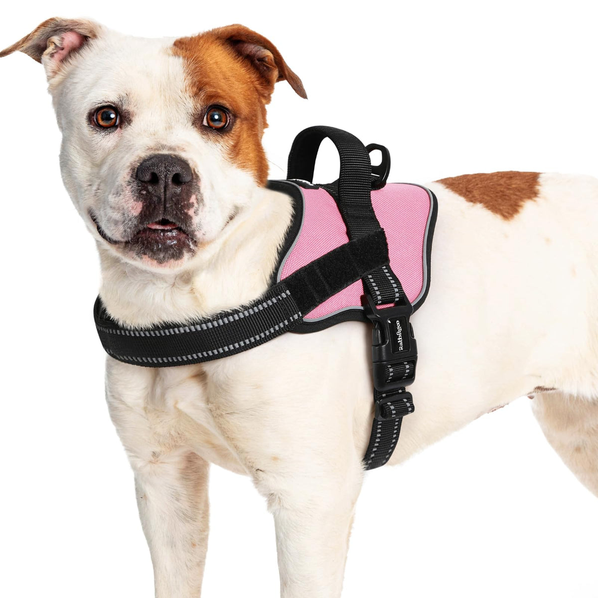 Rabbitgoo Dog Harness For Large Dogs, No Pull No Choke Pet Vest, Easy Wearing With One Buckle, Reflective, Adjustable Pet Harnes