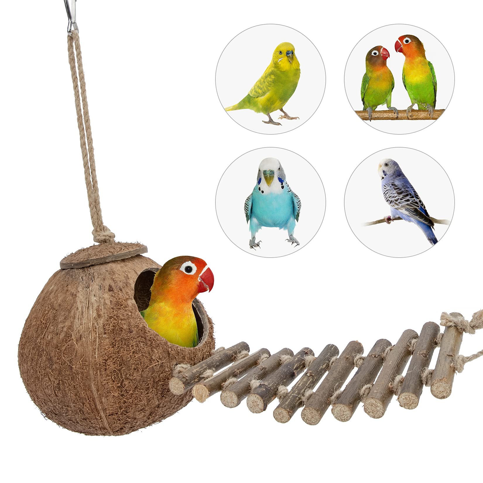 Niteangel Natural Coconut Hideaway With Ladder, Bird And Small Animal Toy (House With Ladder, Natural Surface)