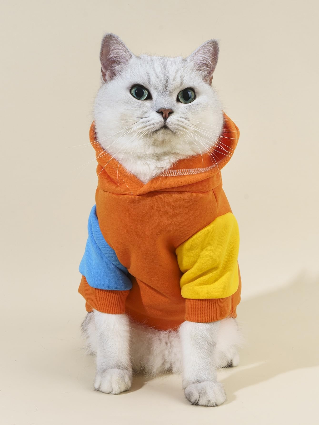 Qwinee Dinosaur Dog Hoodie Dog Warm Jacket Christmas Halloween Dog Costume Dog Clothes For Puppy Kitten Small Medium Dogs Cats Orange And Blue Xl
