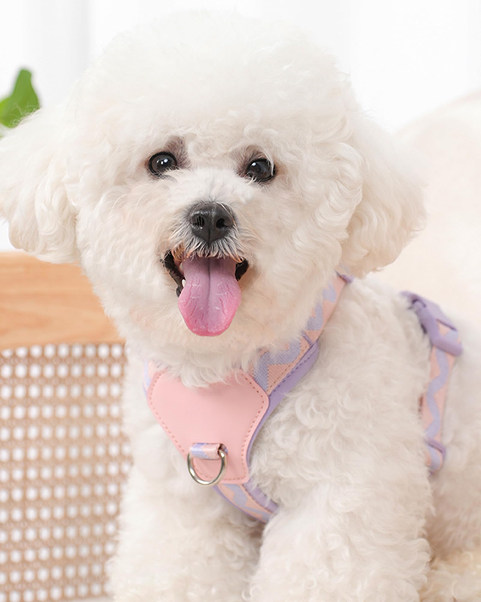 Purple Medium Dog Harness For Medium Dogs, No Pull Dog Harness With 2 Leash Clips, Puppy Harness, Dog Vest Harness (Purple, M)