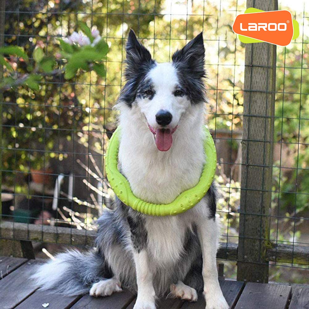 Laroo Dog Flying Ring Toys,Floating Flying Dog Disc Toys,Summer Pet Training Outdoor Durable Chew Toys For Medium And Large Dogs (Large Green/30Cm)