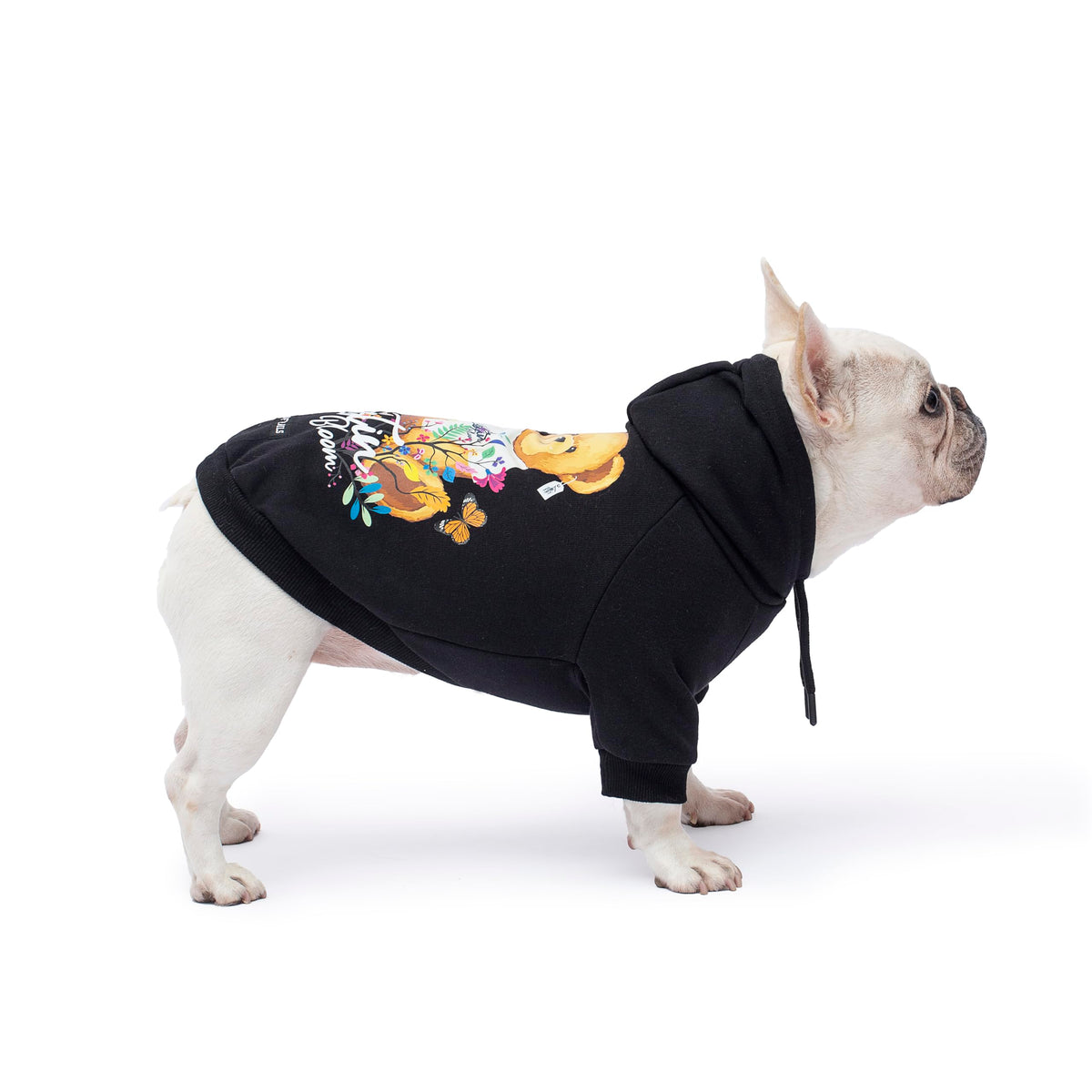 Blooming Teddy Dog Hoodie Dog Clothes Extra Warm Fleece Lining Stretchy Fit For Small Dogs (Black, Medium)
