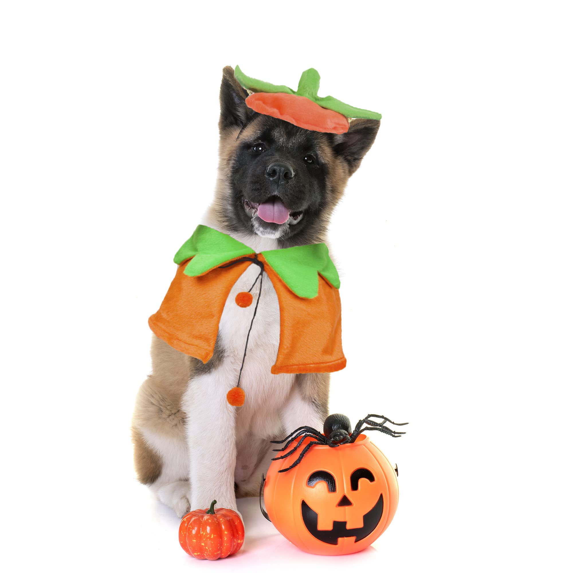 Adoggygo Halloween Dog Costumes Dog Halloween Pumpkin Cloak Hat Set Pet Halloween Pumpkin Costumes For Small Medium Dogs Pets (Pumpkin)