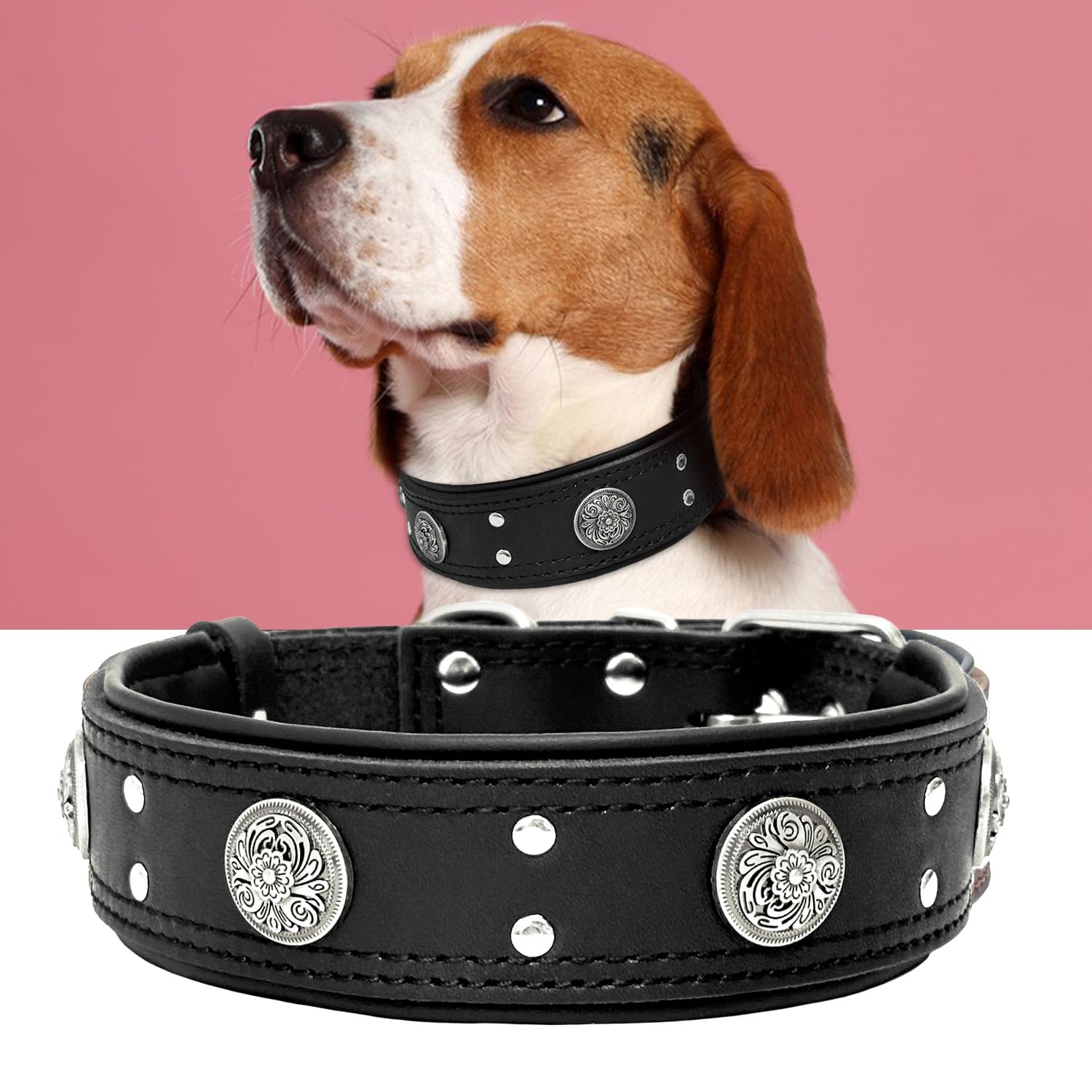 Guiding Star Leather Dog Collar, 2 Inches Wide, Heavy Duty, Luxury & Studded, Black, 22.5-26.5 Inches, For Large Dogs