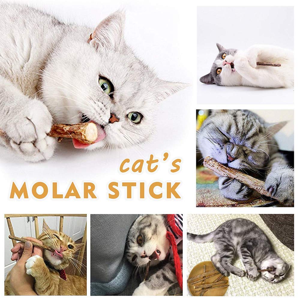 WoLover 10 PCS Cat Catnip Sticks, Natural Matatabi Silvervine Sticks - Cleaning Teeth Molar Tools Kitten Chew Toy Natural Catnip