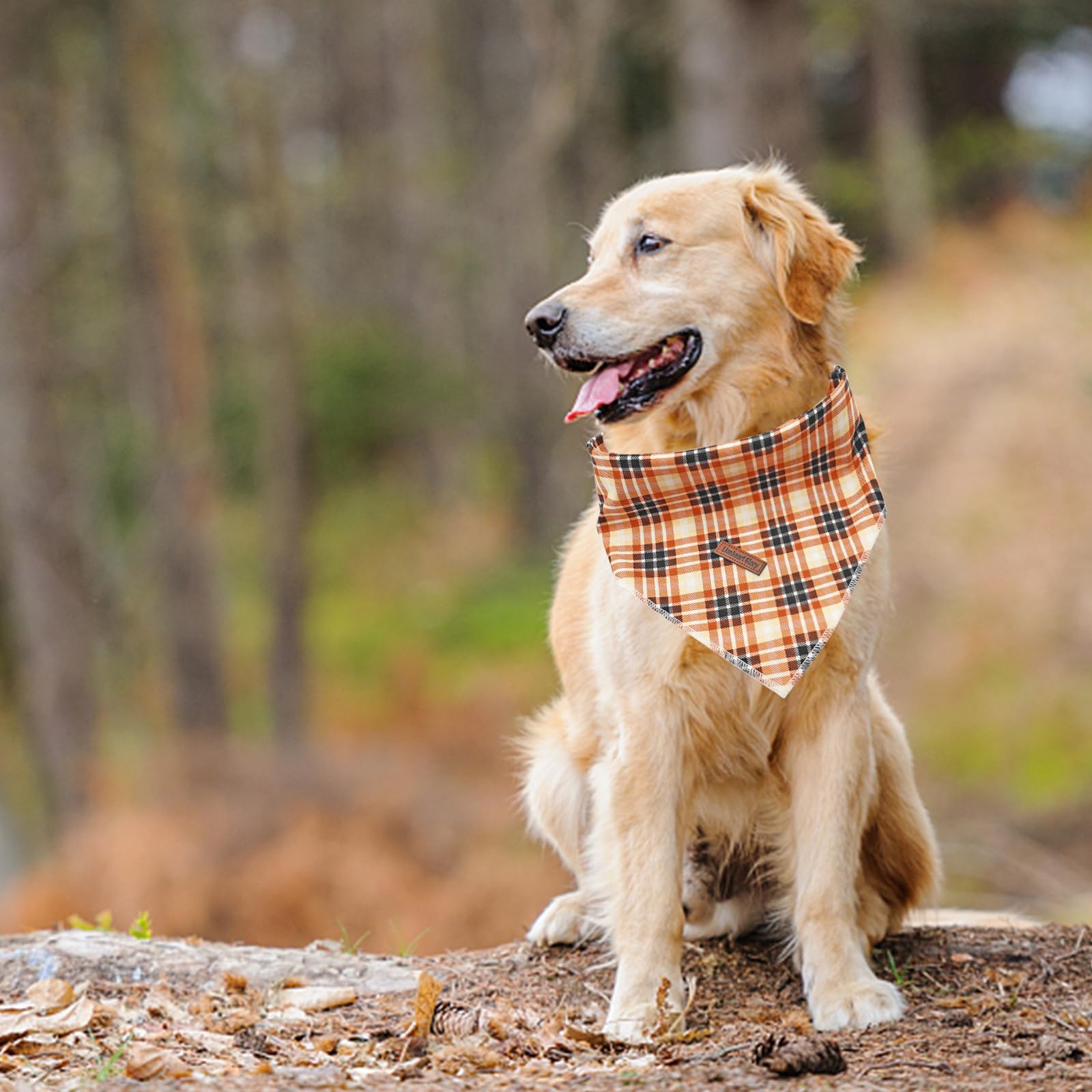 Lionheart Glory Dog Bandana 1 Pack Washable Soft Plaid Dog Scarf, Fall Bib Scarf Boy Girl Bandana Square Plaid Dog Bandanas For